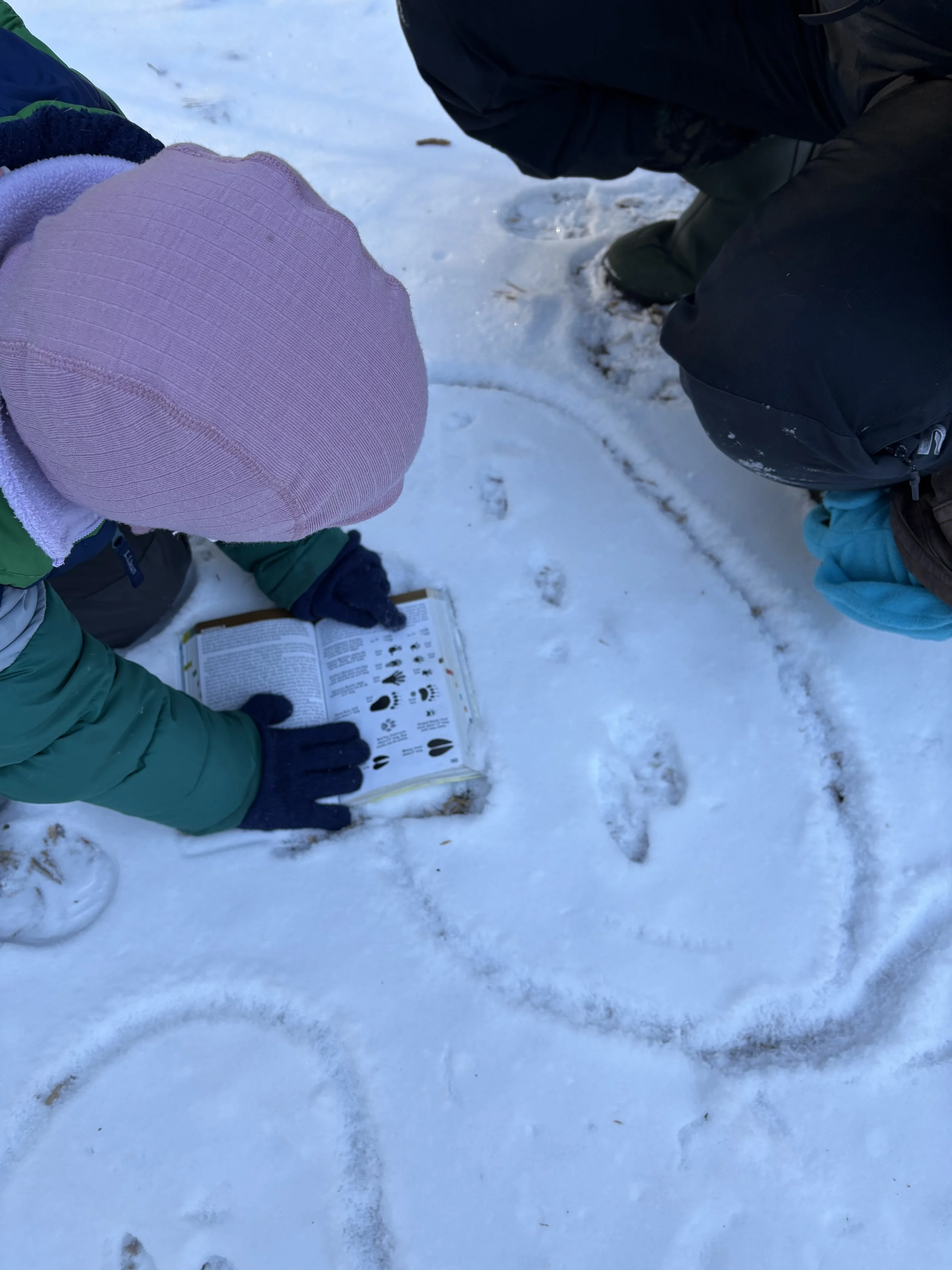 Mulberry Forest Montessori - 2026