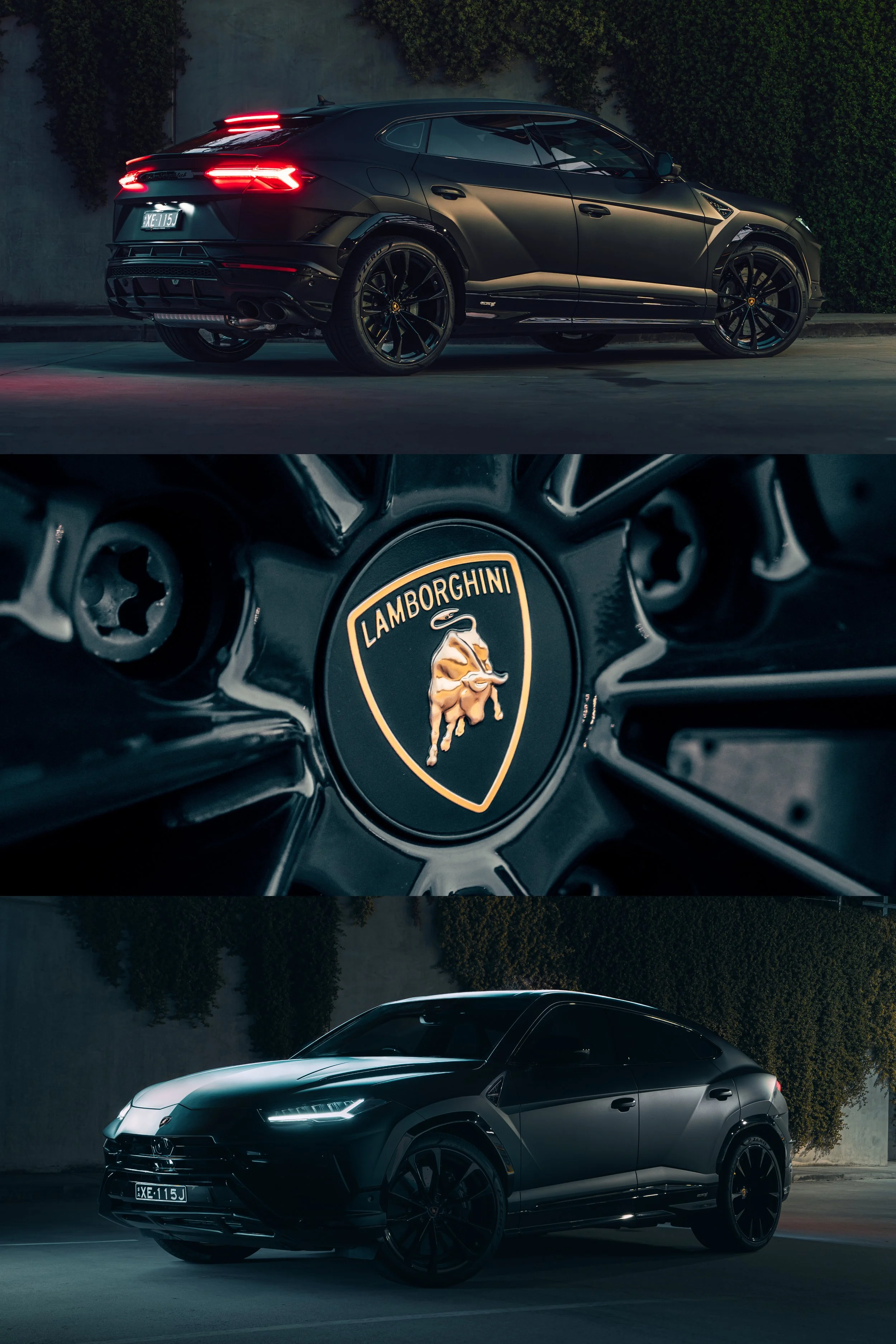 Urus_Triptych.jpg