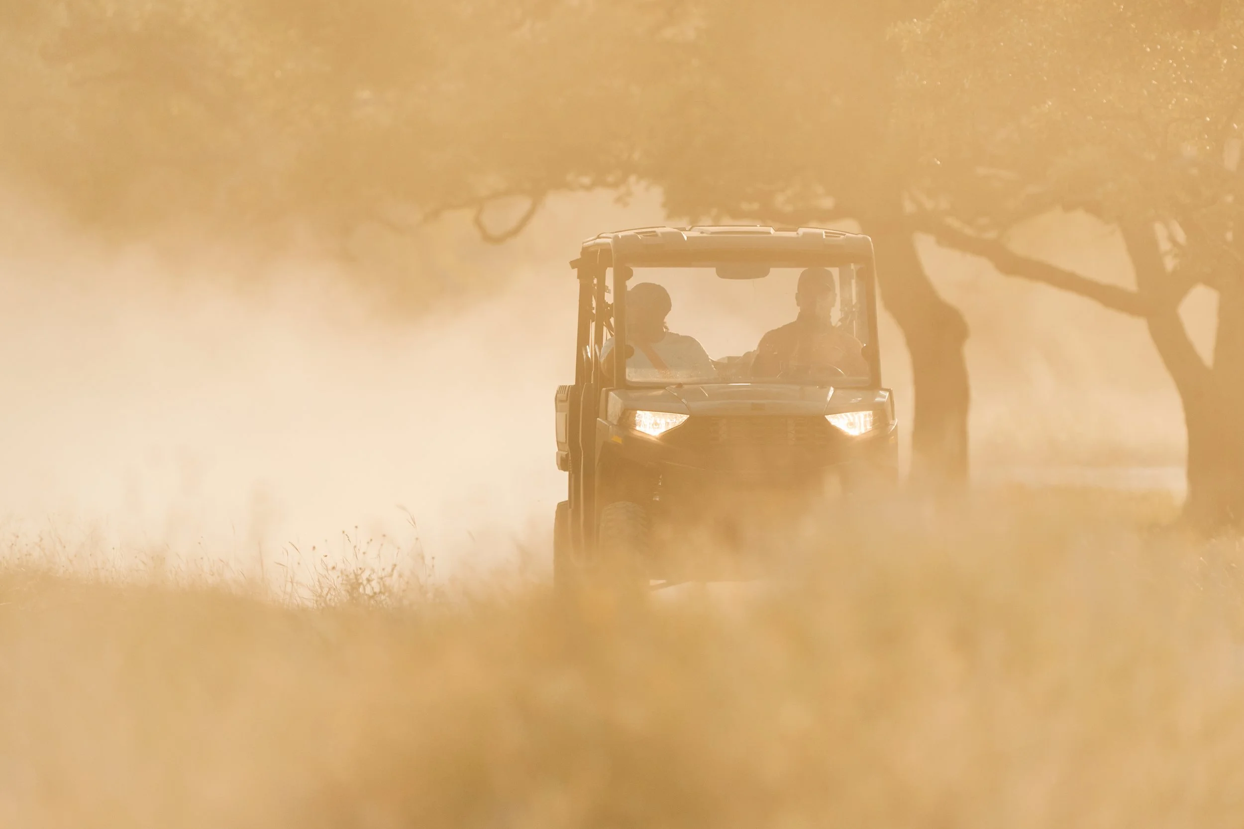 Project: Academy Sports + Outdoor Gallery 2