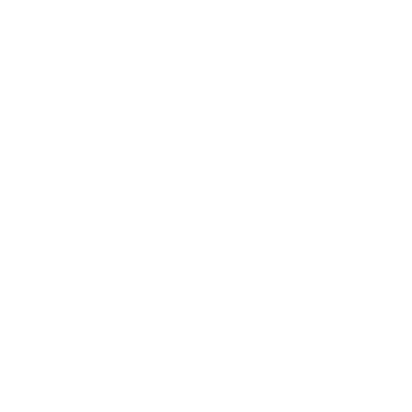 TROY NEBEKER 