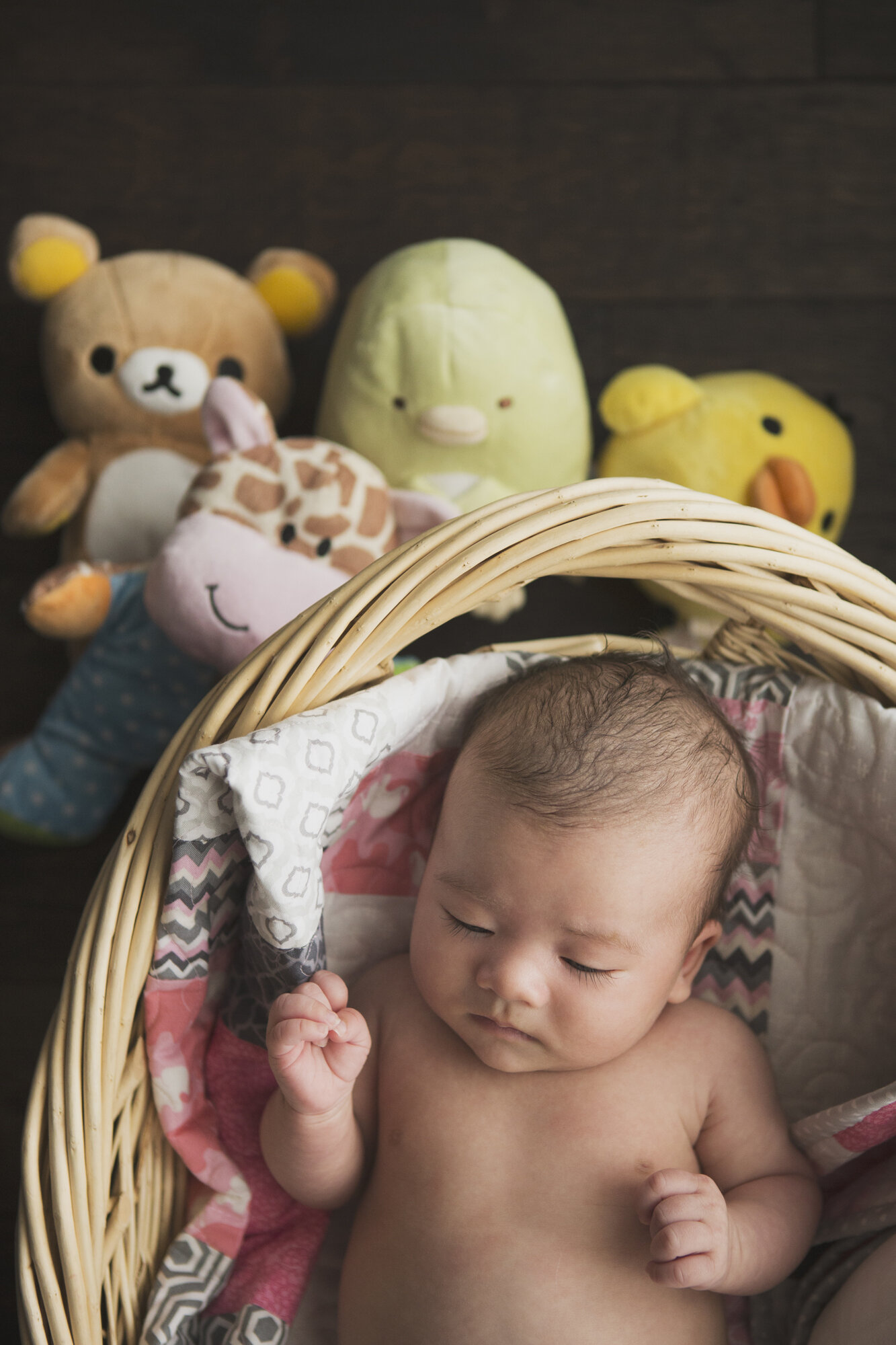 newborn photography calgary bliss photographic baby basket.jpg
