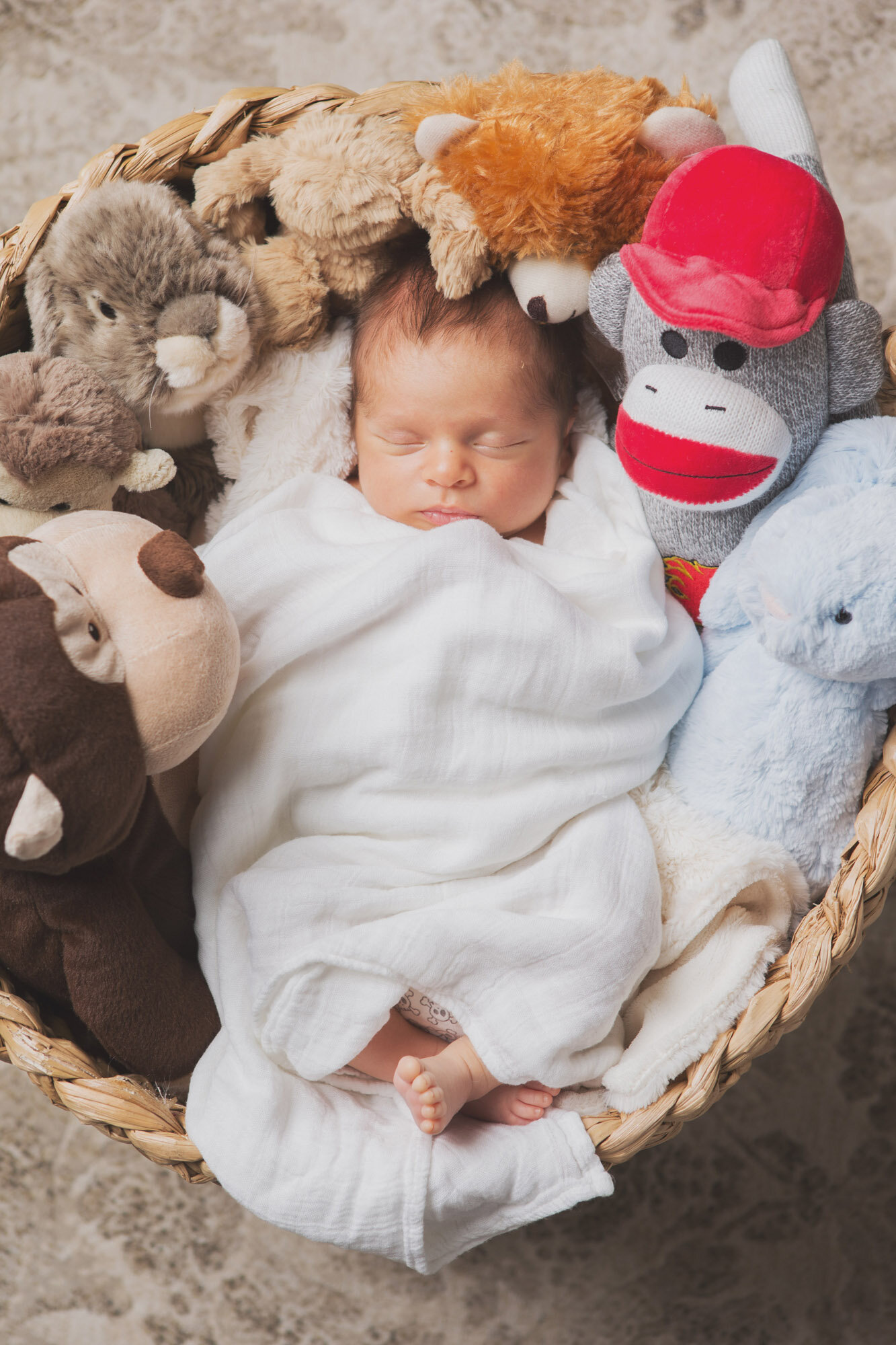biss photographic newborn photography calgary baby swaddled in basket sock monkey.jpg