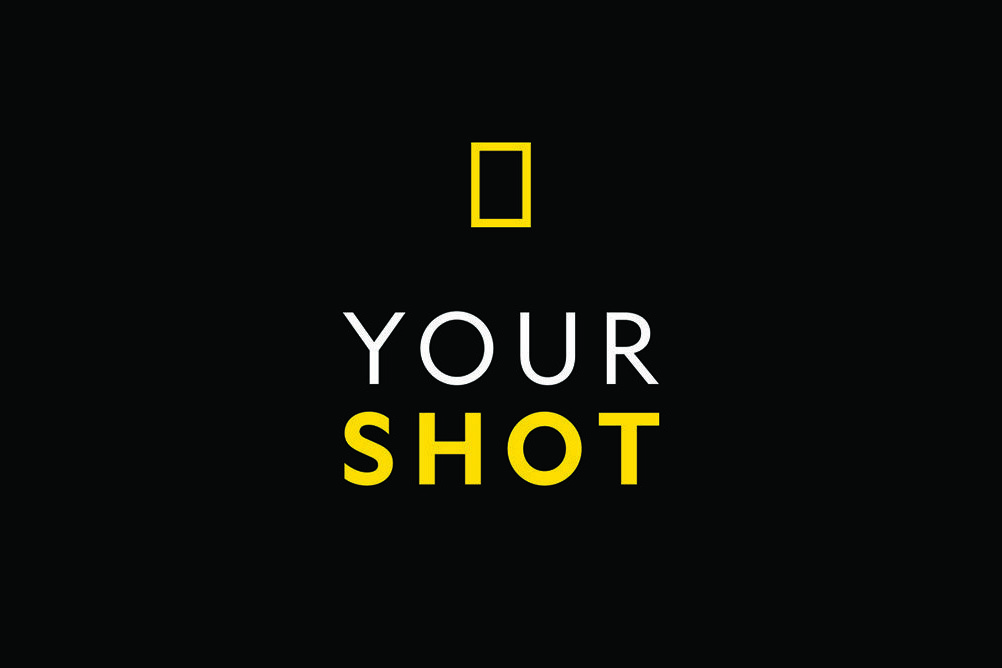 your_shot.jpeg