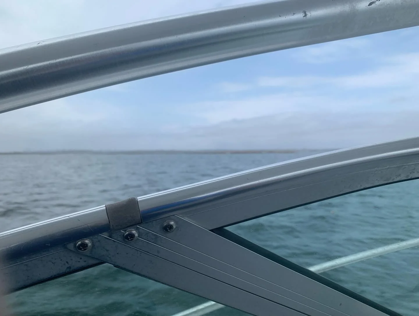 More research!! This particular book is coming out 2028 but I am living it TODAY. This 85 year old man, man that he is, took a kayak out so that he could pick me up on the boat and show me every creek in the Jamaica bay marshes. Egrets, glossy ibis, 