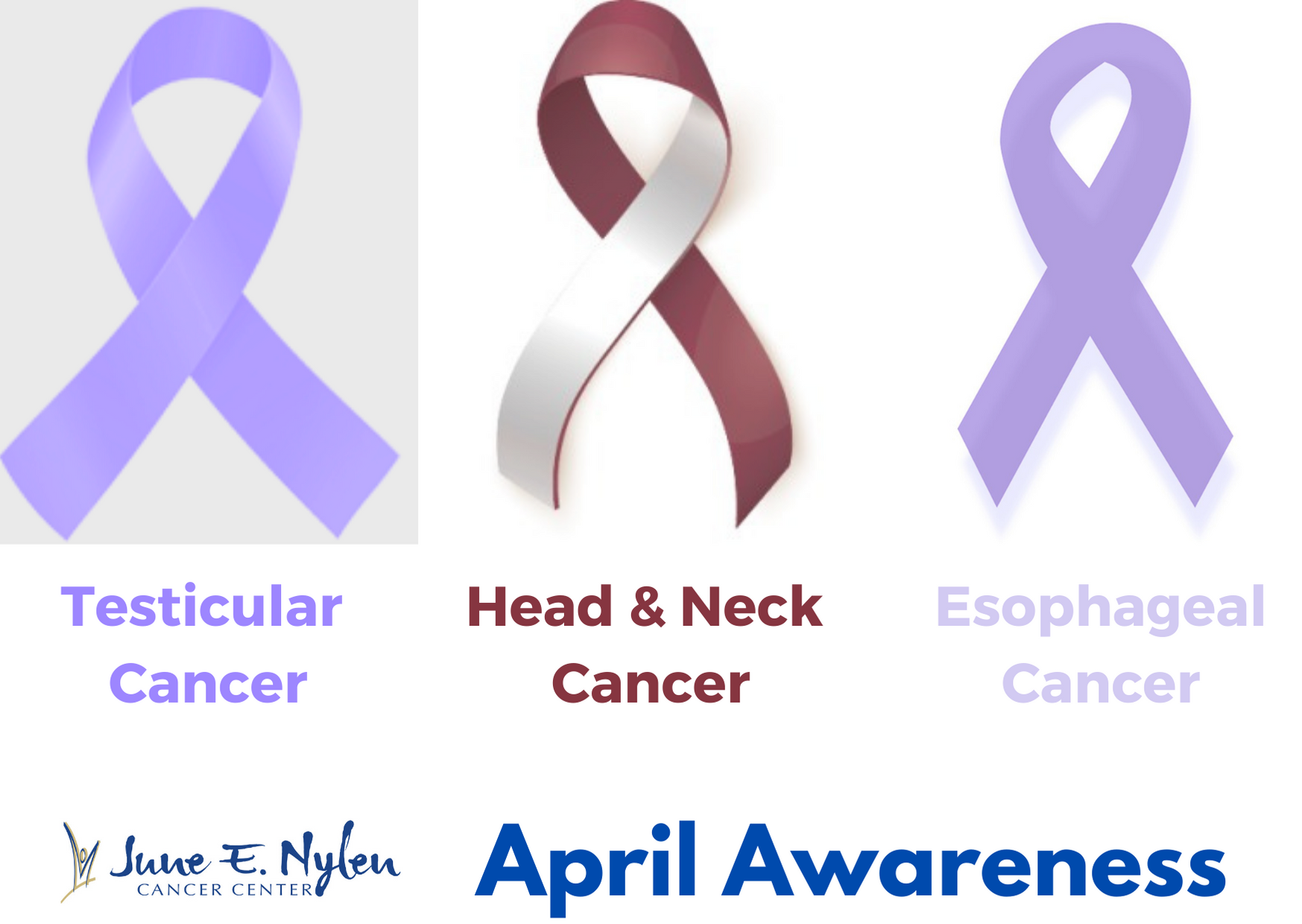 April is Awareness Month for Esophageal, Head & Neck, and Testicular