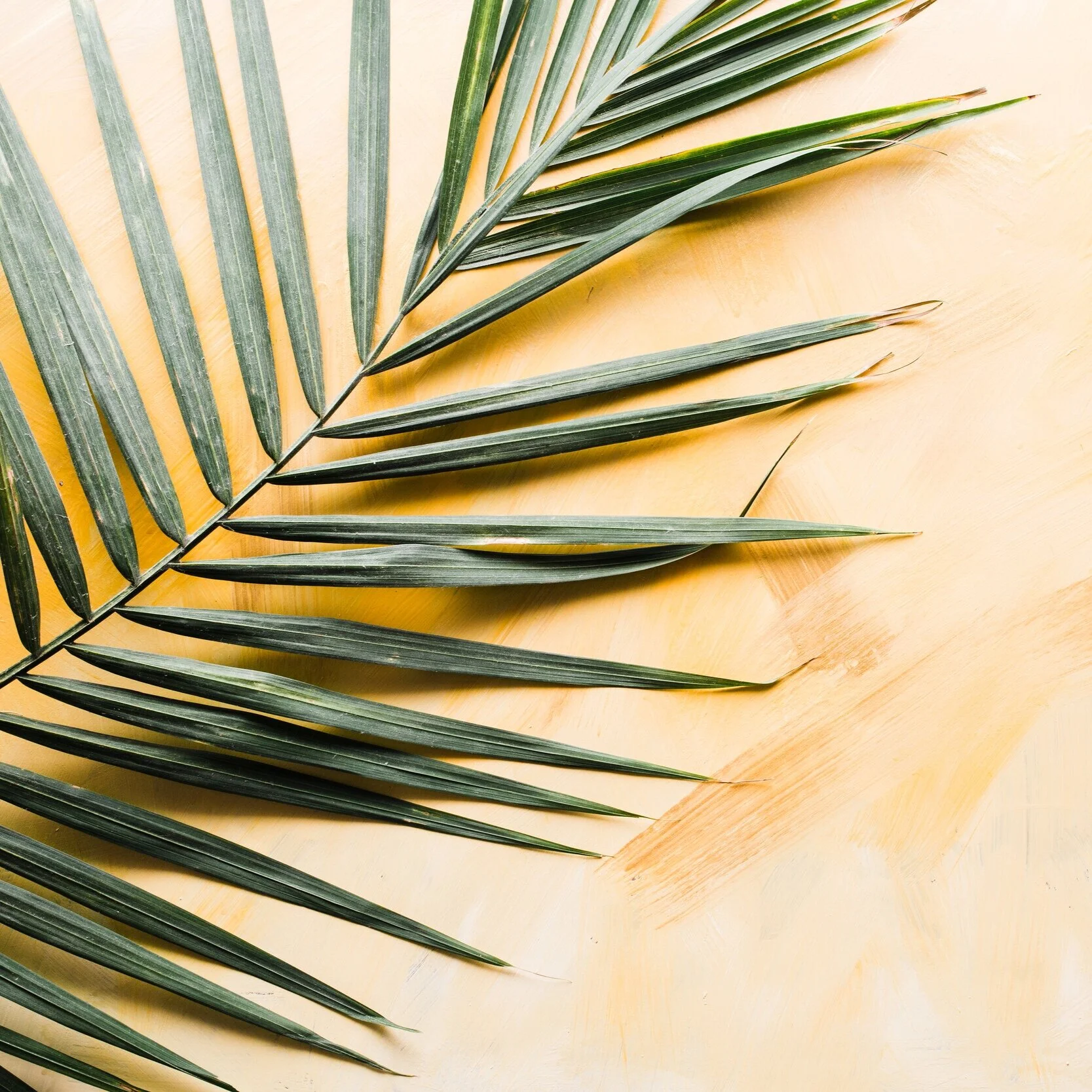 Holy Week in the Home