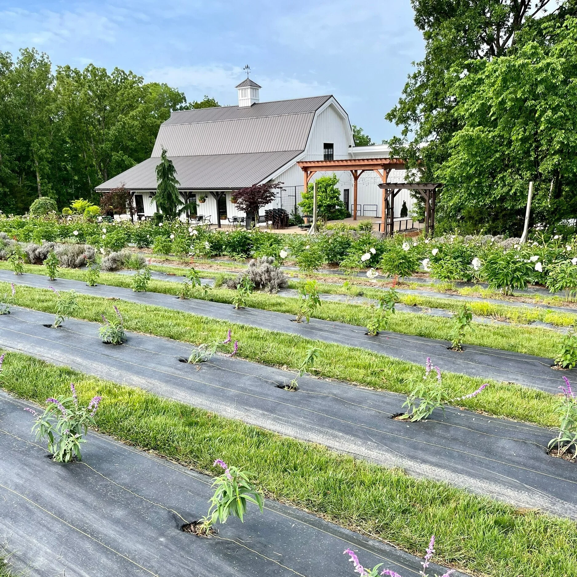 EEE3F9C7-0CD5-4EFE-9EE0-750CCC5BD1FA