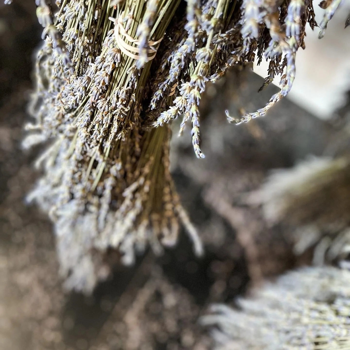 61A2E13D-8303-41E2-8C05-1833203BC689