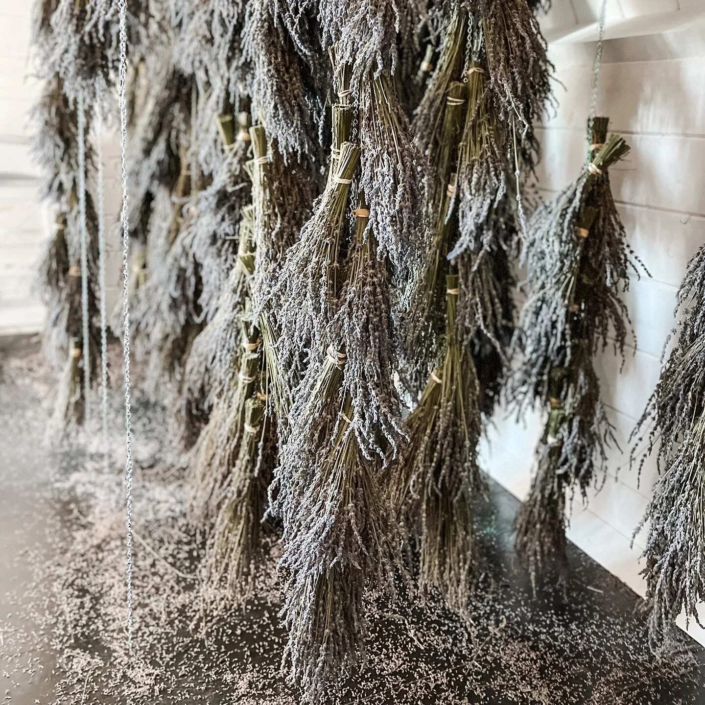 44B0699C-59CC-47BB-89A7-F63B7A0C9797