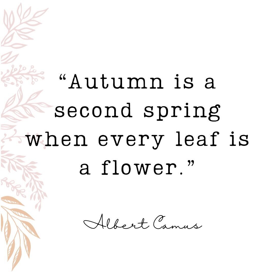 &ldquo;Autumn is a second spring when every leaf is a flower.&rdquo; ~Albert Camus

🍃🌻🍂