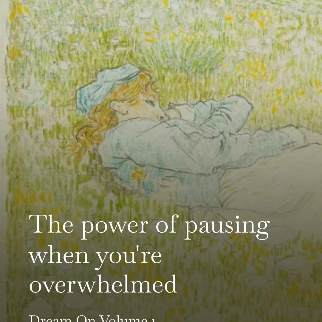 "In a world that is increasingly tumultuous, it is more important than ever to caretake our tender selves." 

I wrote some in Dream On about overwhelm and the mighty pause...link in bio. 

Someday I will learn to format properly for instagr