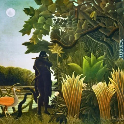 Some more thoughts on and ways to pause amidst overwhelm in Dream On; Volume 2. xo

"When overwhelm becomes persistent, the nervous system organizes around urgency. We develop a heightened stress response, and our capacity to tolerate it narrows