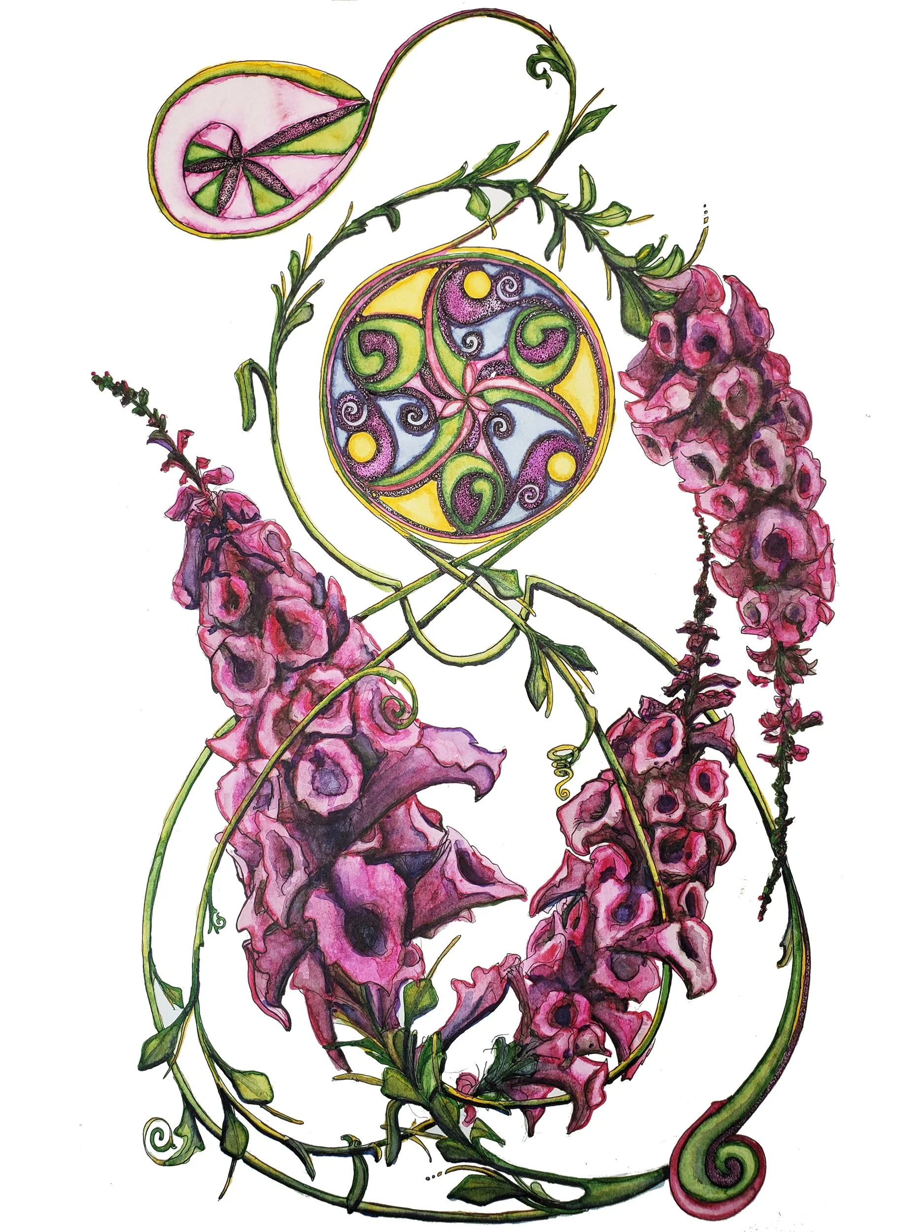 Pink Foxglove