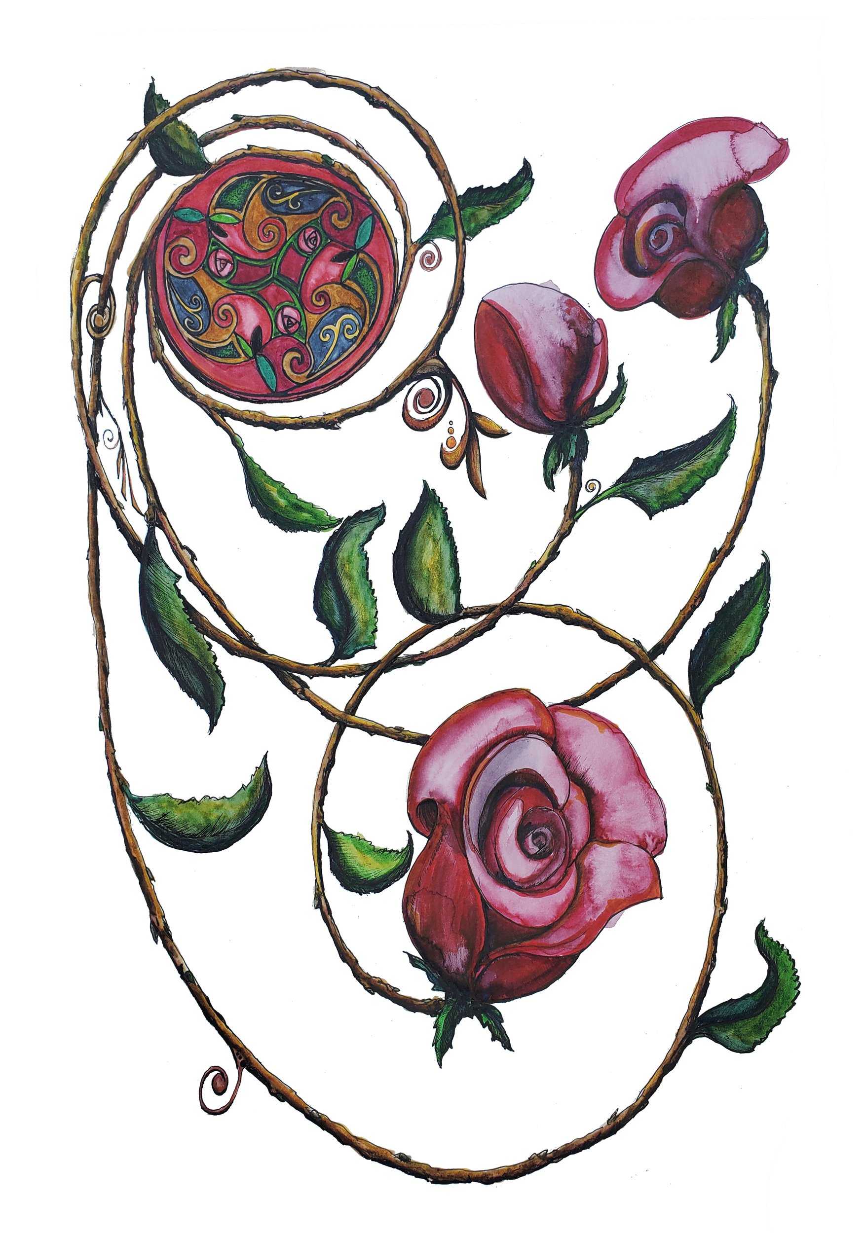 Red Rose