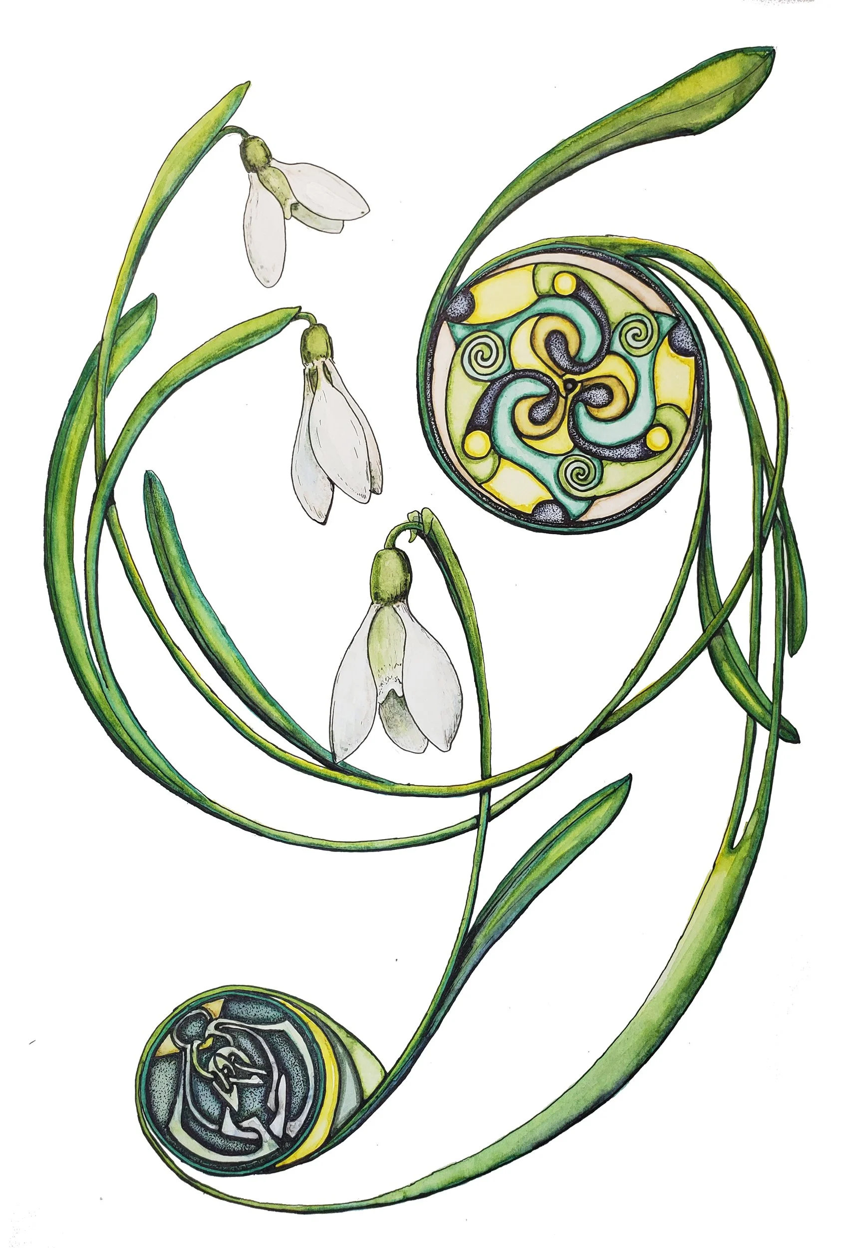 White Snowdrop