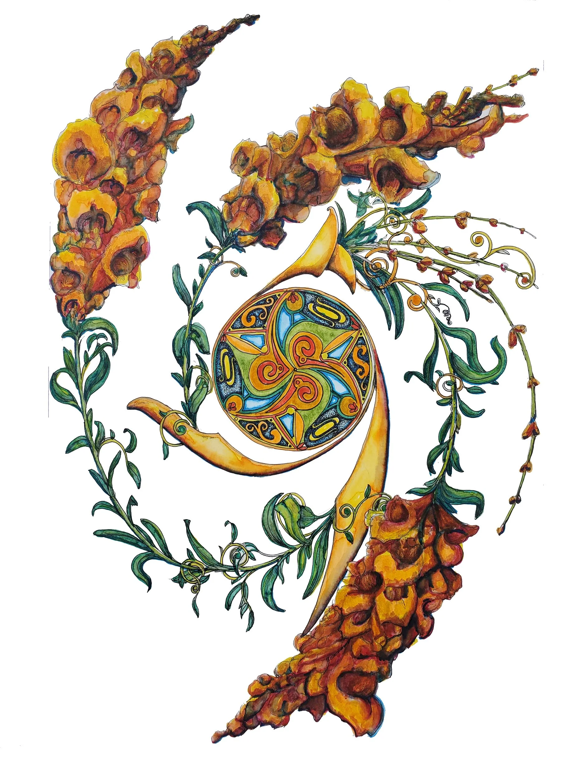 Orange Snapdragon