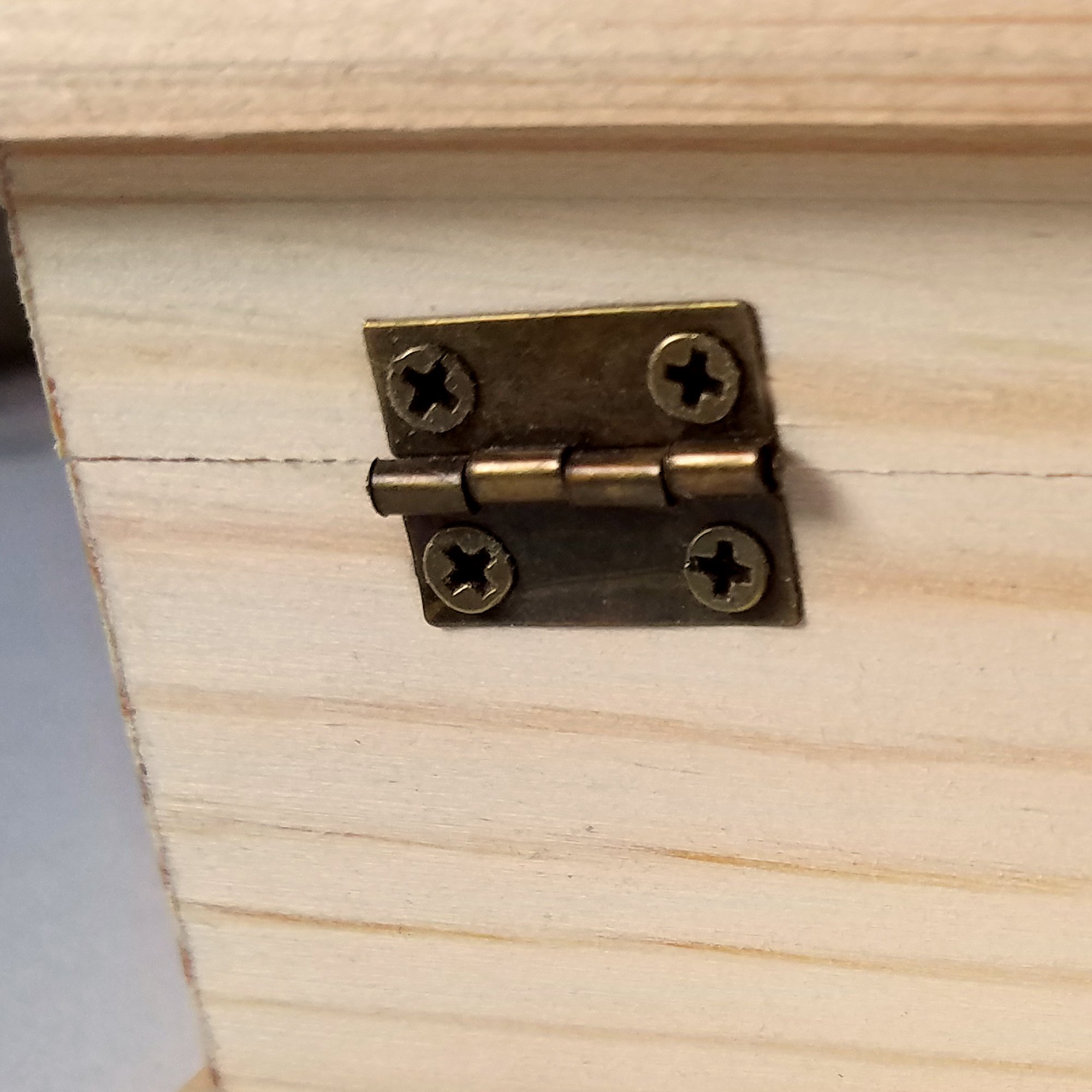 med box hinge.jpg