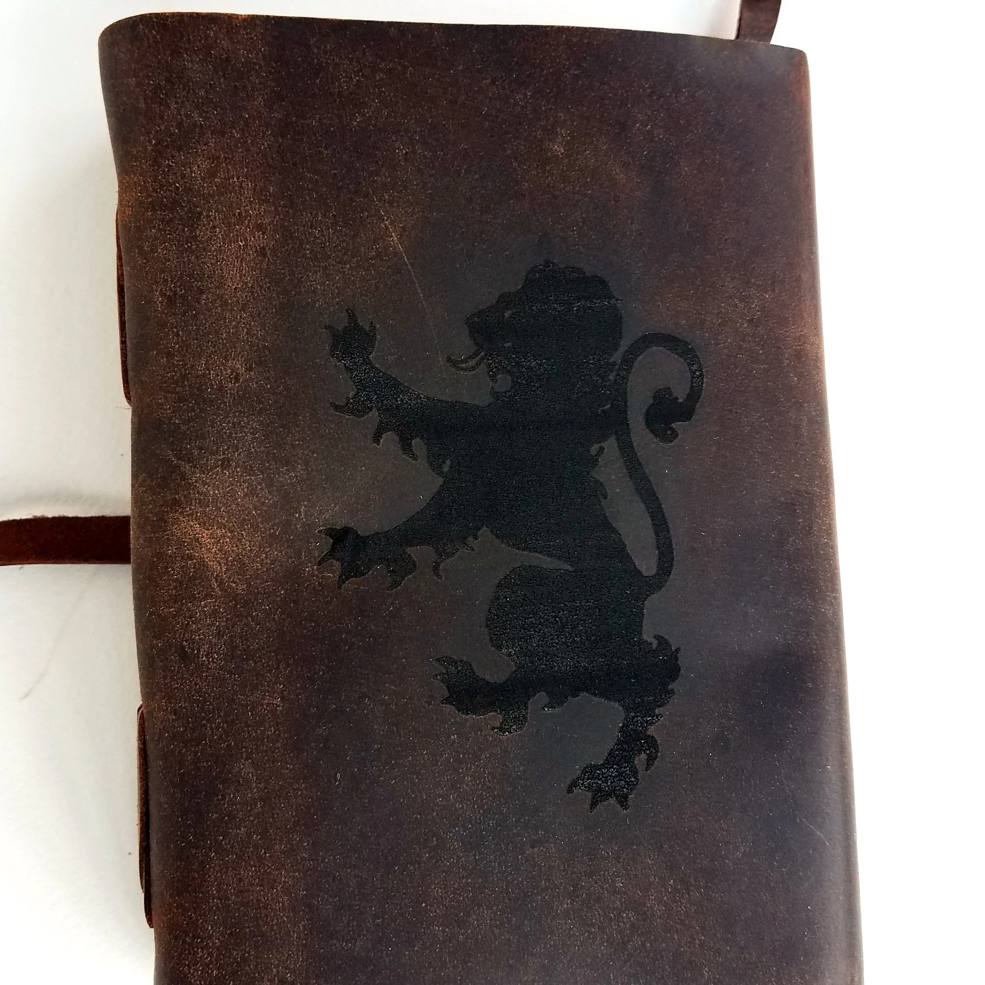 lion journal 4.jpg