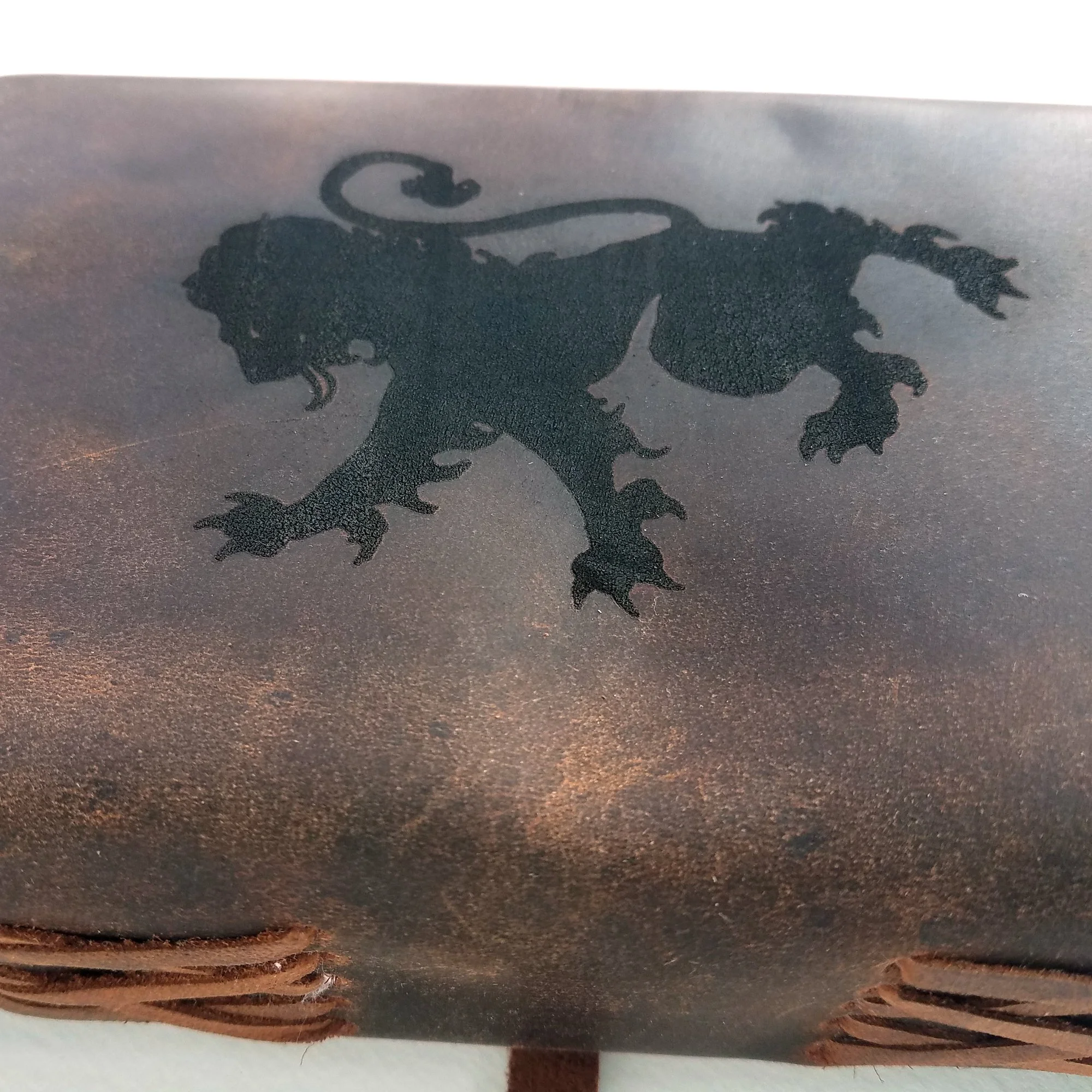 lion journal 2.jpg