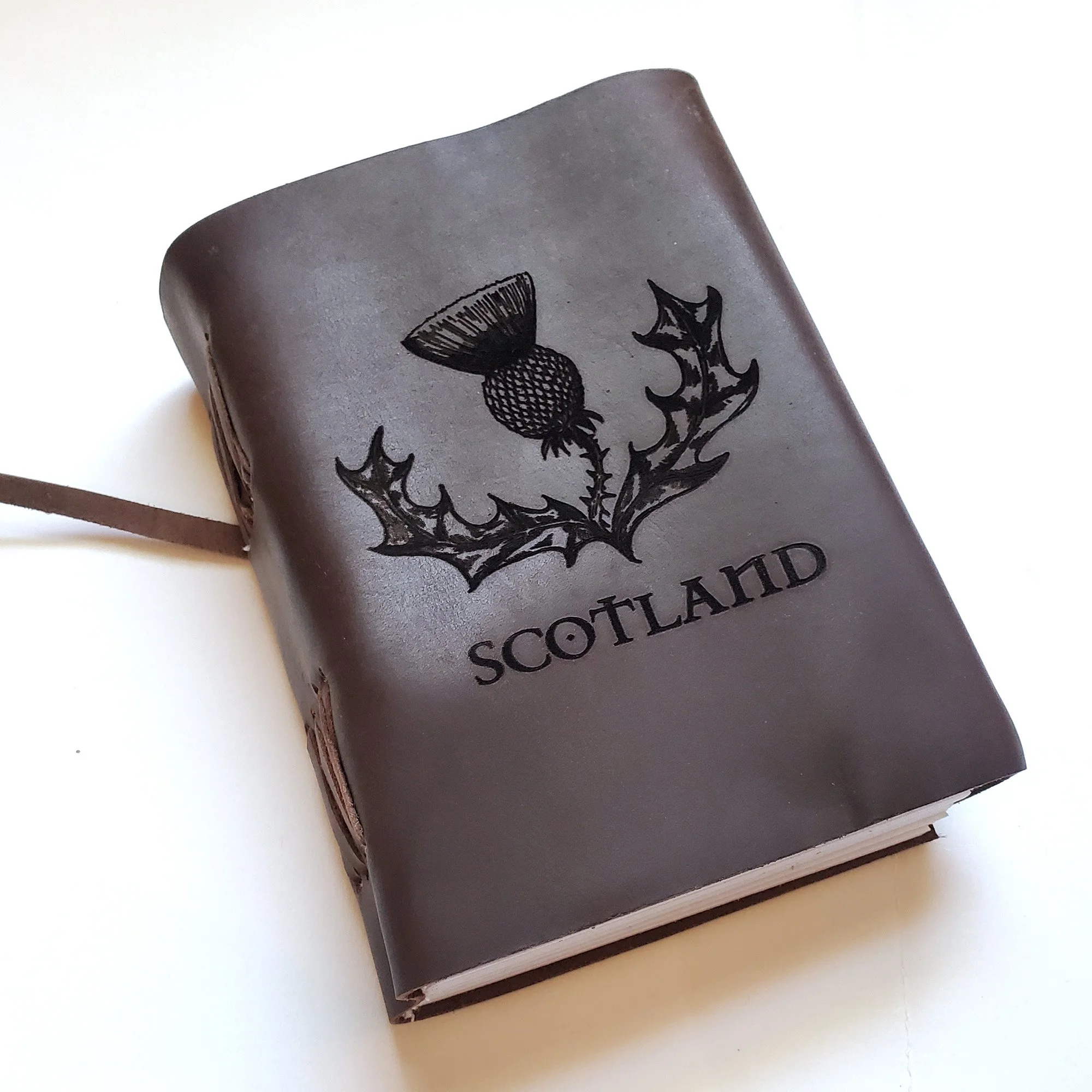 thistle journal 2.jpg