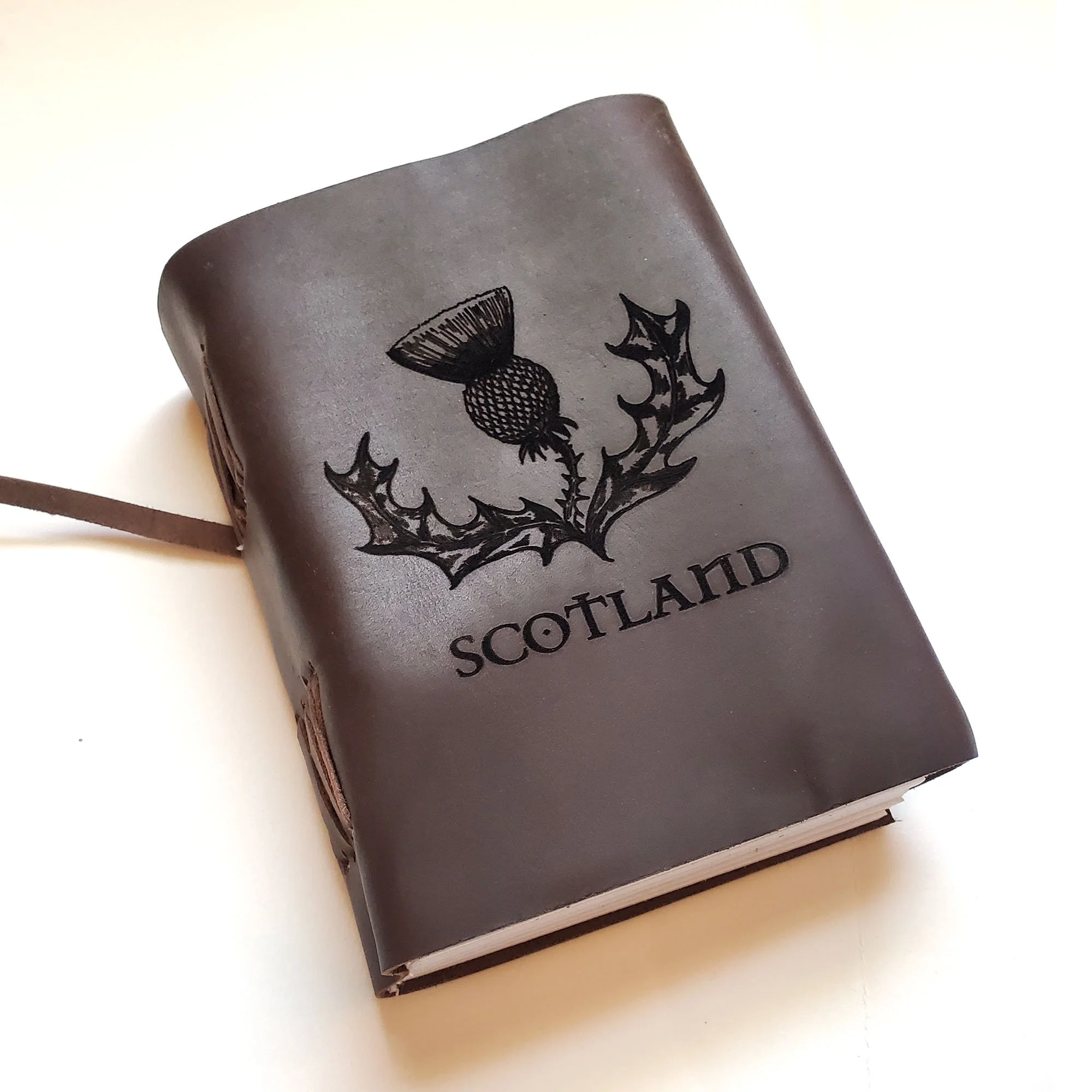 thistle journal 4.jpg