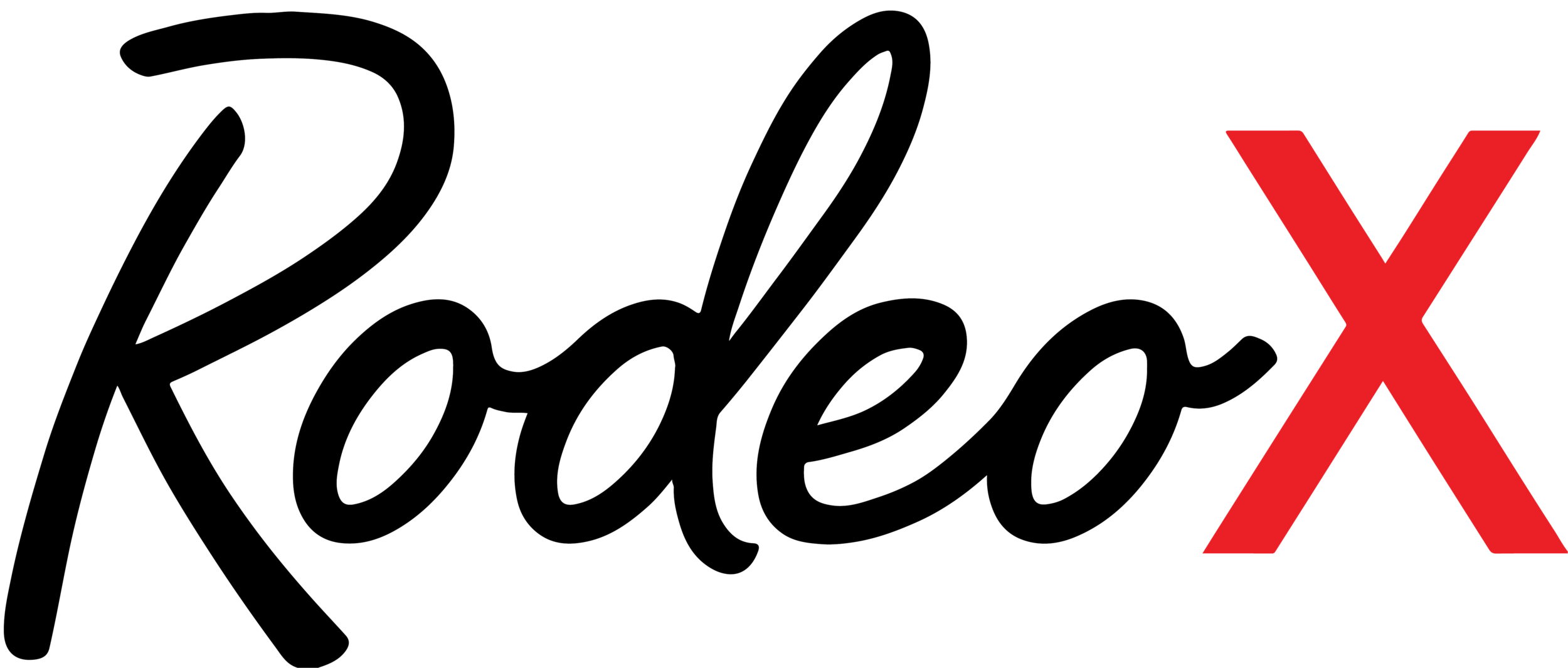 Rodeo X — Rodeo Public Market