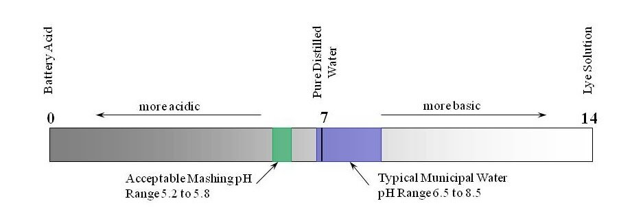 pH scale.jpg