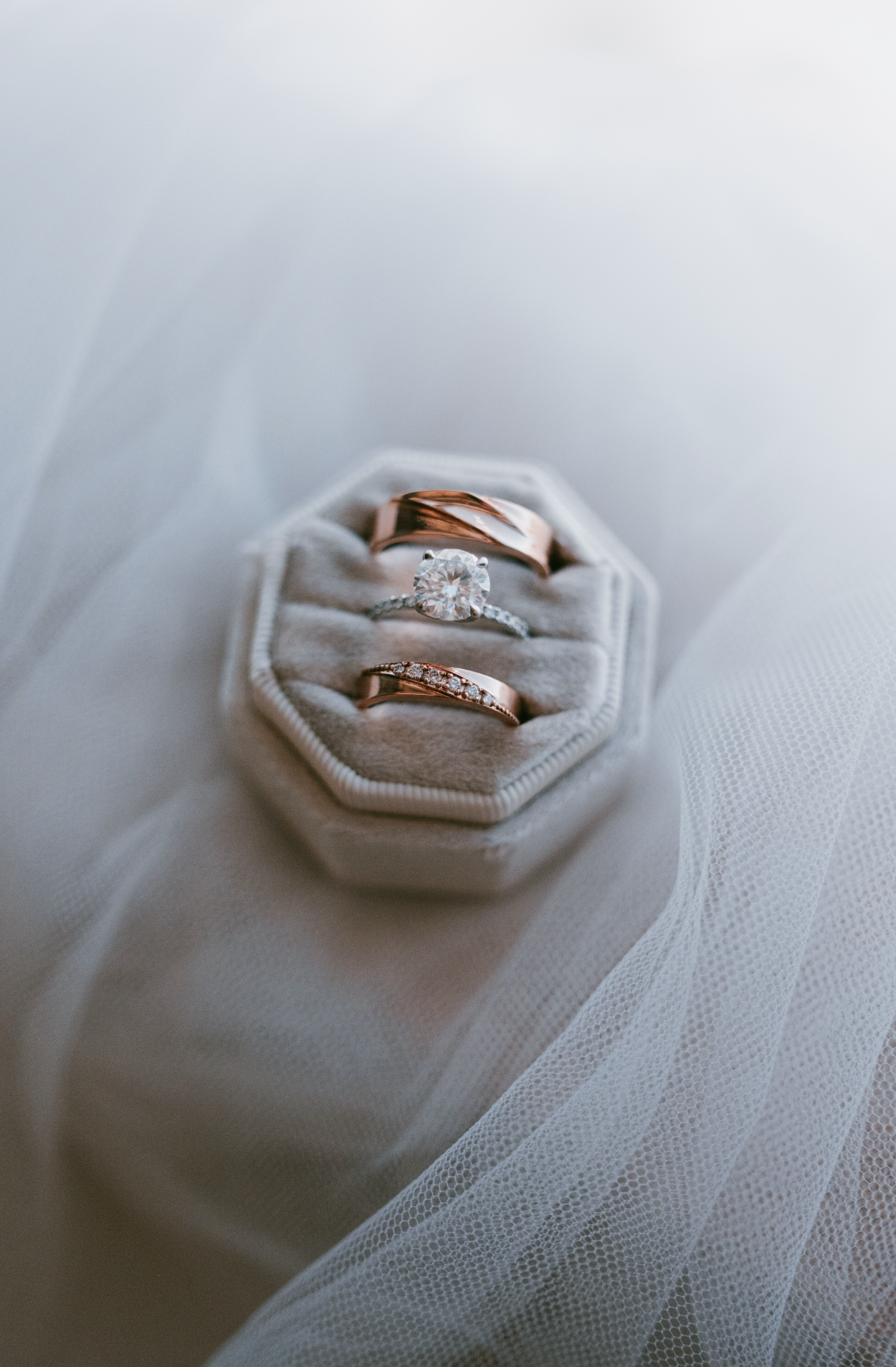 Screenshot 2026-02-03 at 12.54.14 PM.png