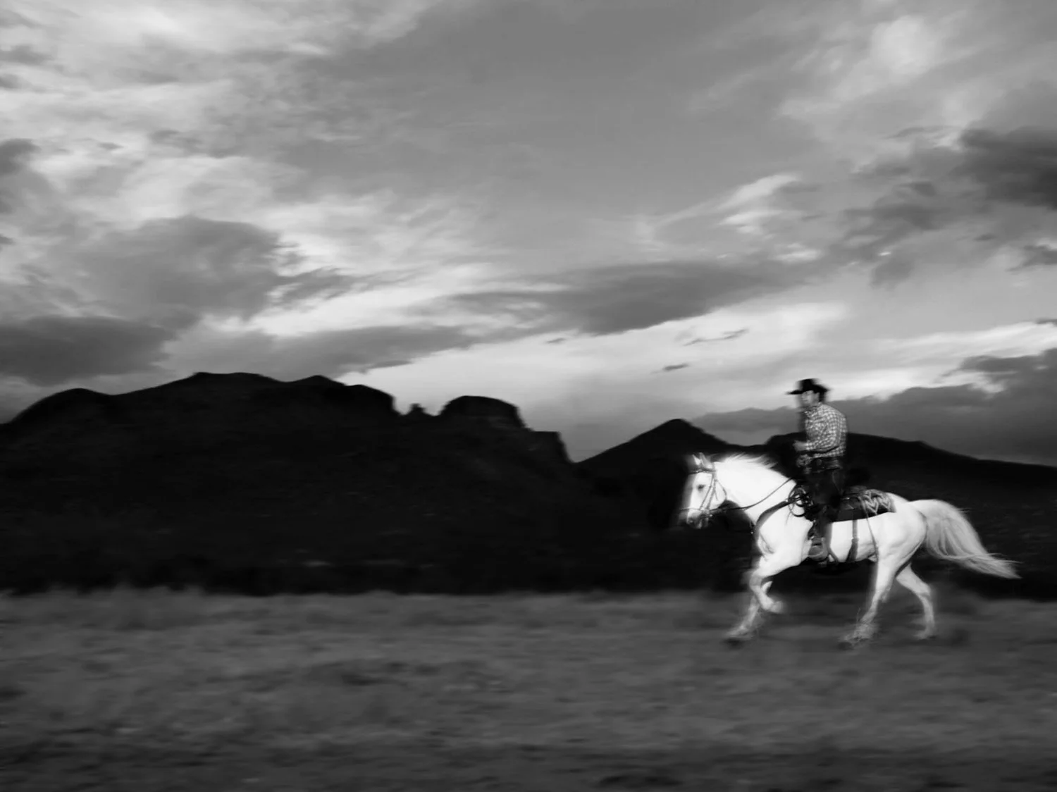 LOEWS HORSE.jpg