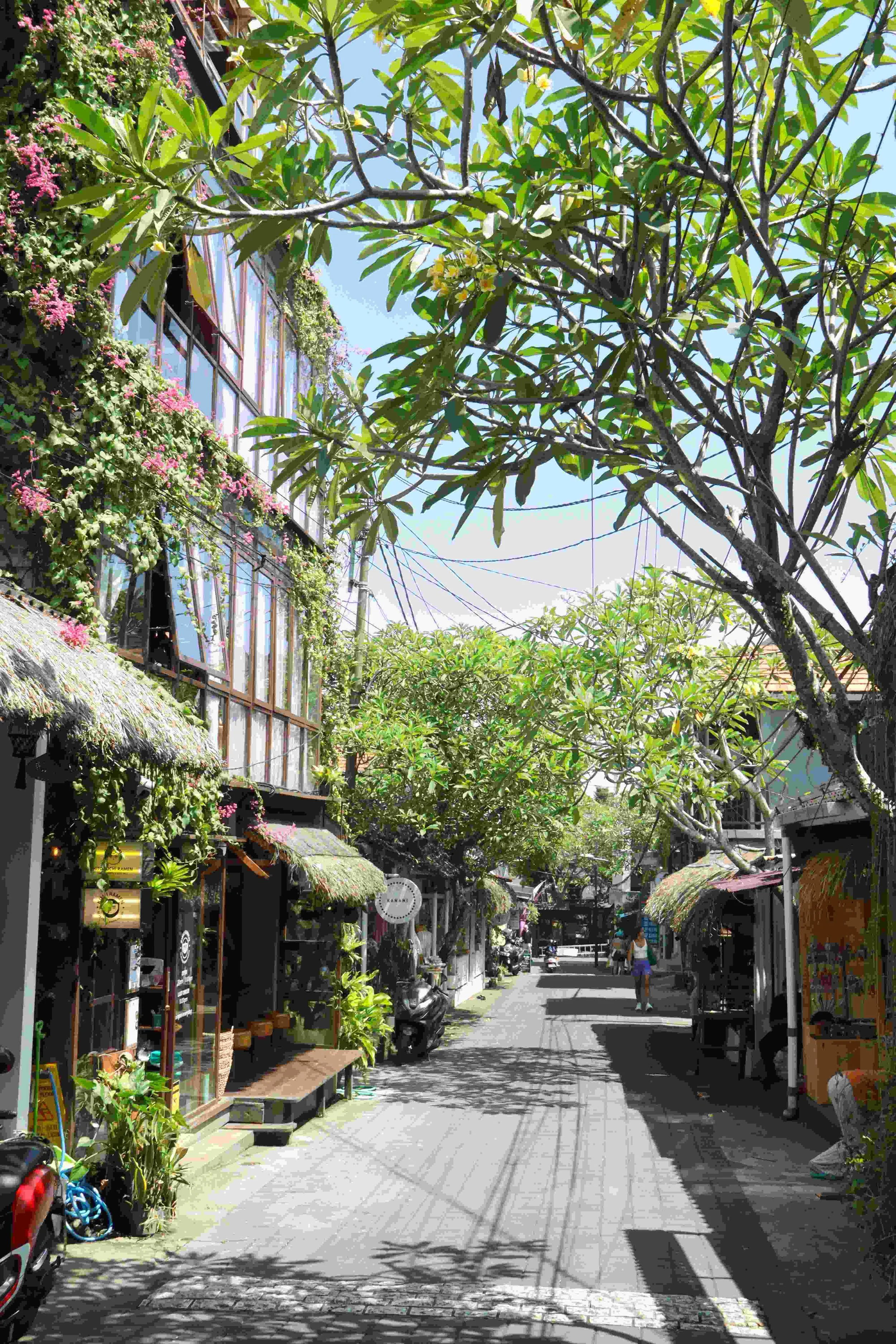 Discover Gautama Street, Ubud: Best Food Street &amp; Hidden Dining Gems in Bali