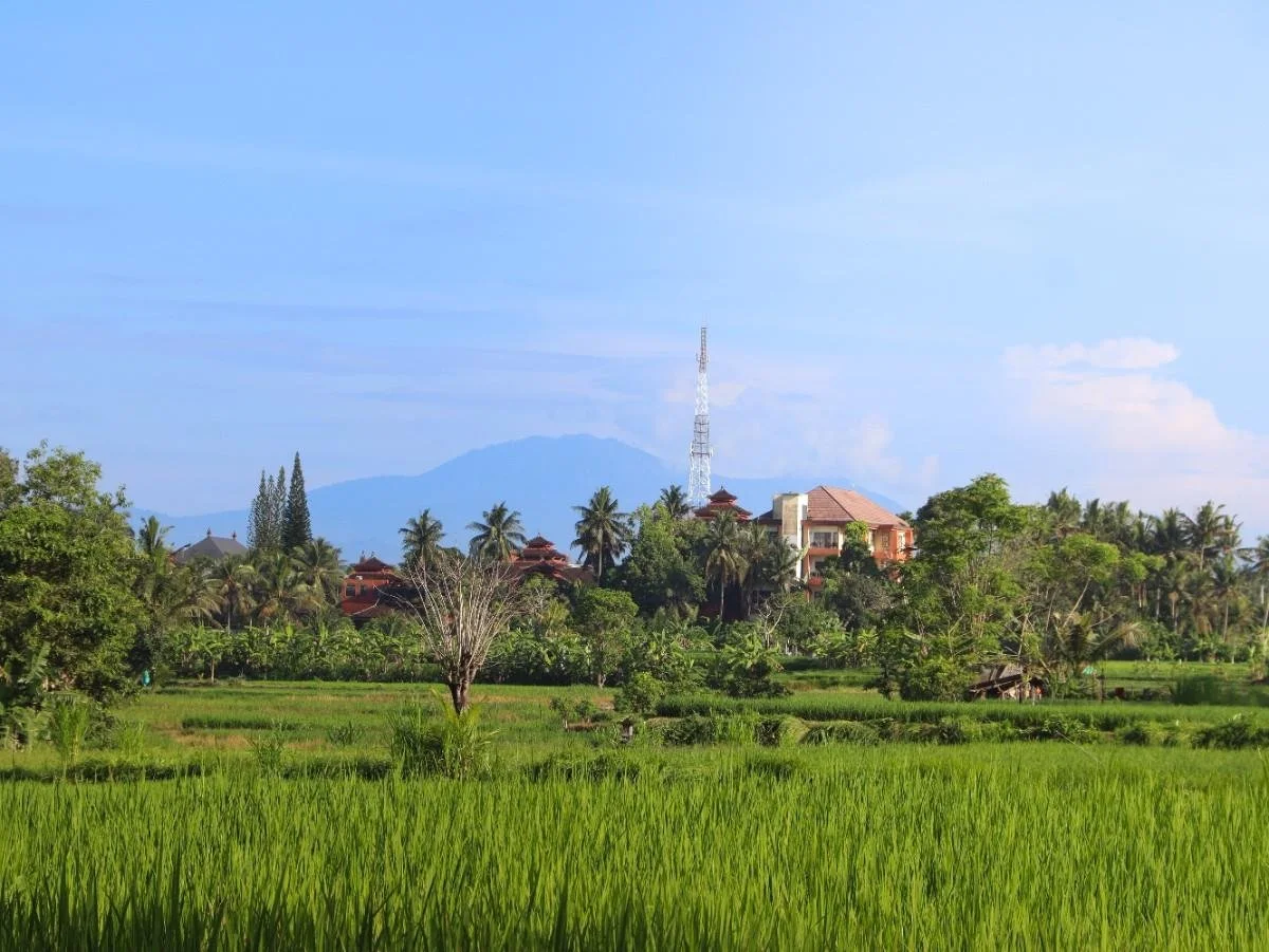 Is Ubud Worth Visiting? An Honest Guide for First-Time Travellers