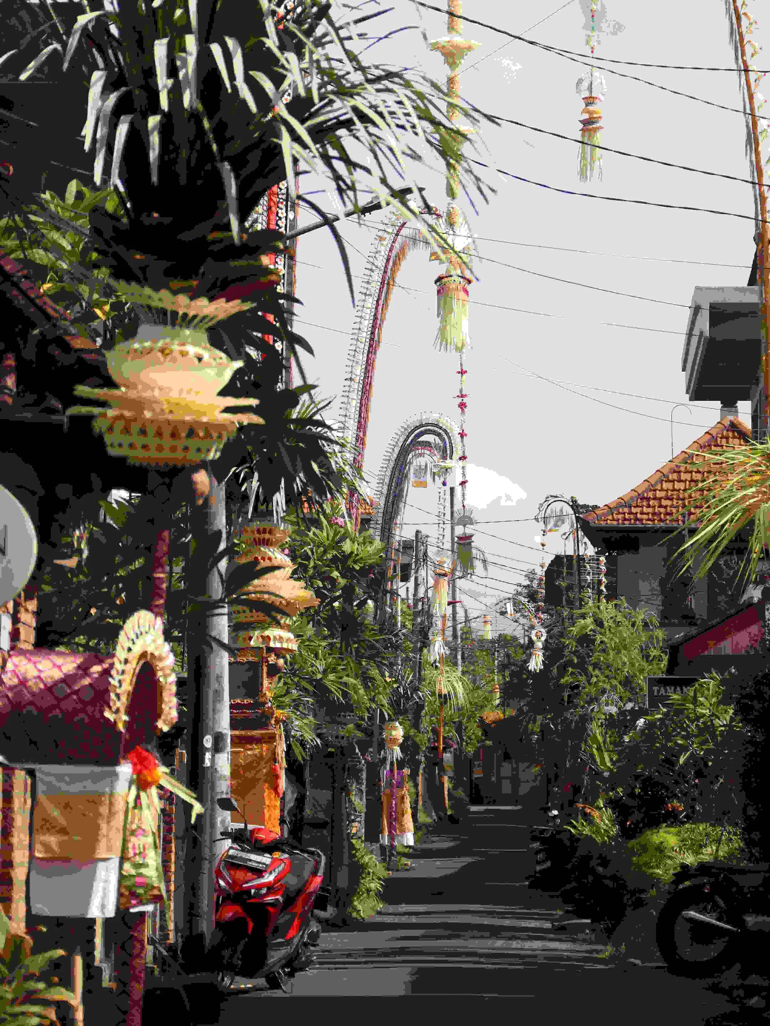 connecting with nature in ubud