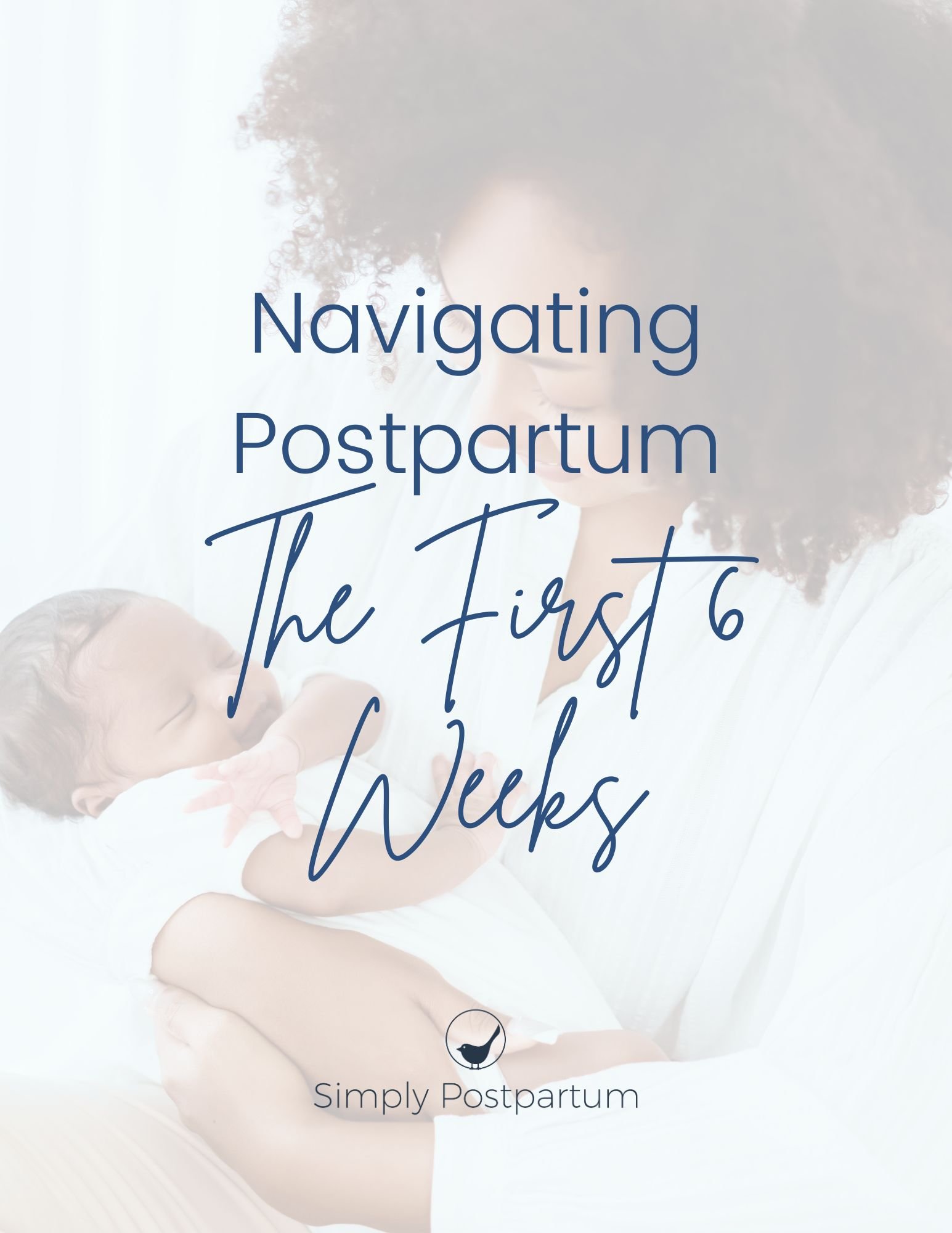 Navigating Postpartum: The First 6 Weeks