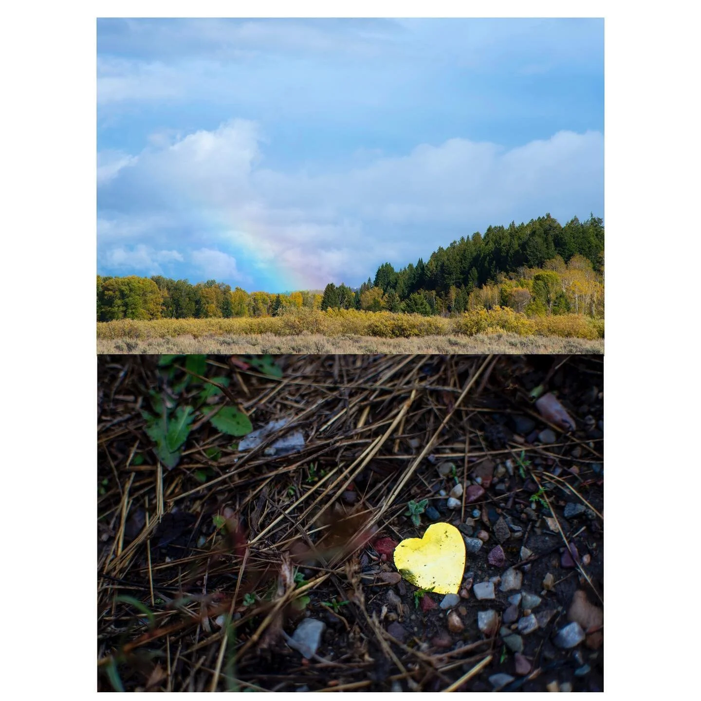 Yesterday as Jackson waited for the confirmation that Gabby Petito&rsquo;s remains had been found in the park, it poured, just like the day before. But as Teton County&rsquo;s coroner left the site with the remains that are believed to Gabby&rsquo;s,
