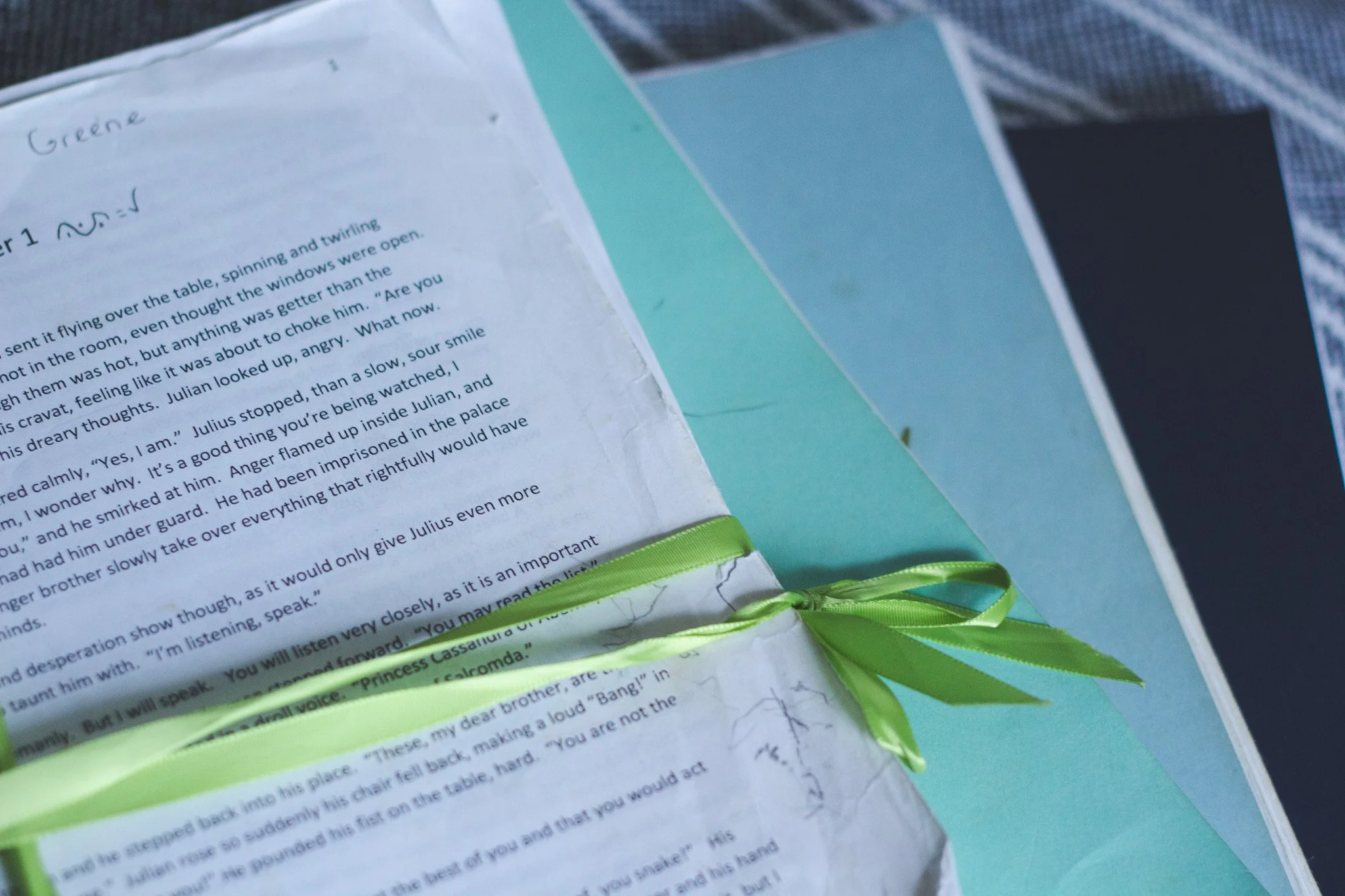 The Manuscript for my first novel.