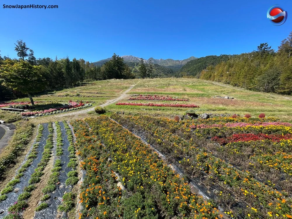 Ontake Ropeway Ontake Ropeway Ski Area (Kiso, Nagano) 御岳ロープウェイスキー場(長野県木曽町)