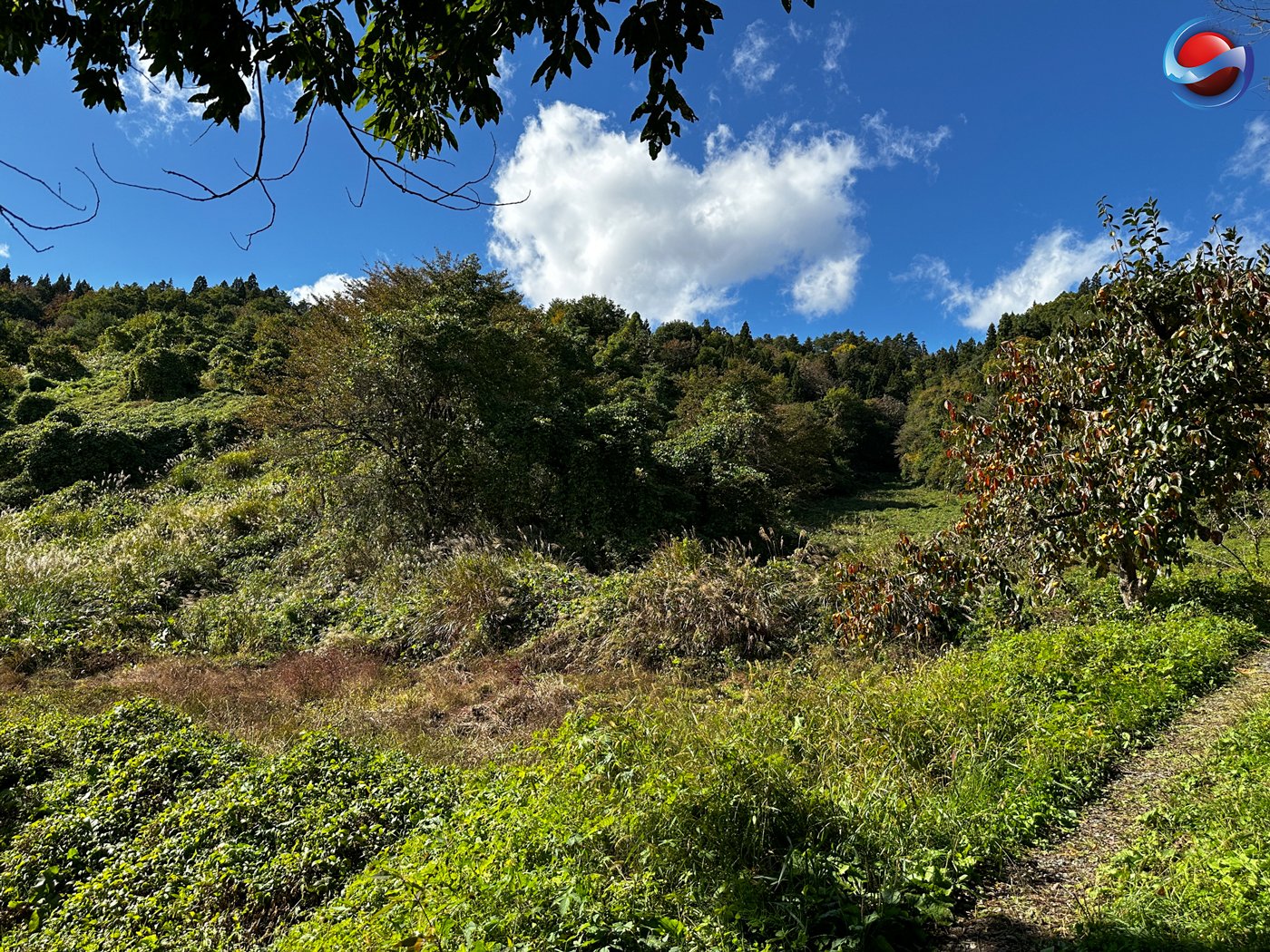 Yamanobe Hakusan (Yamanobe, Yamagata)　山辺白山スキー場（山形県山辺町）