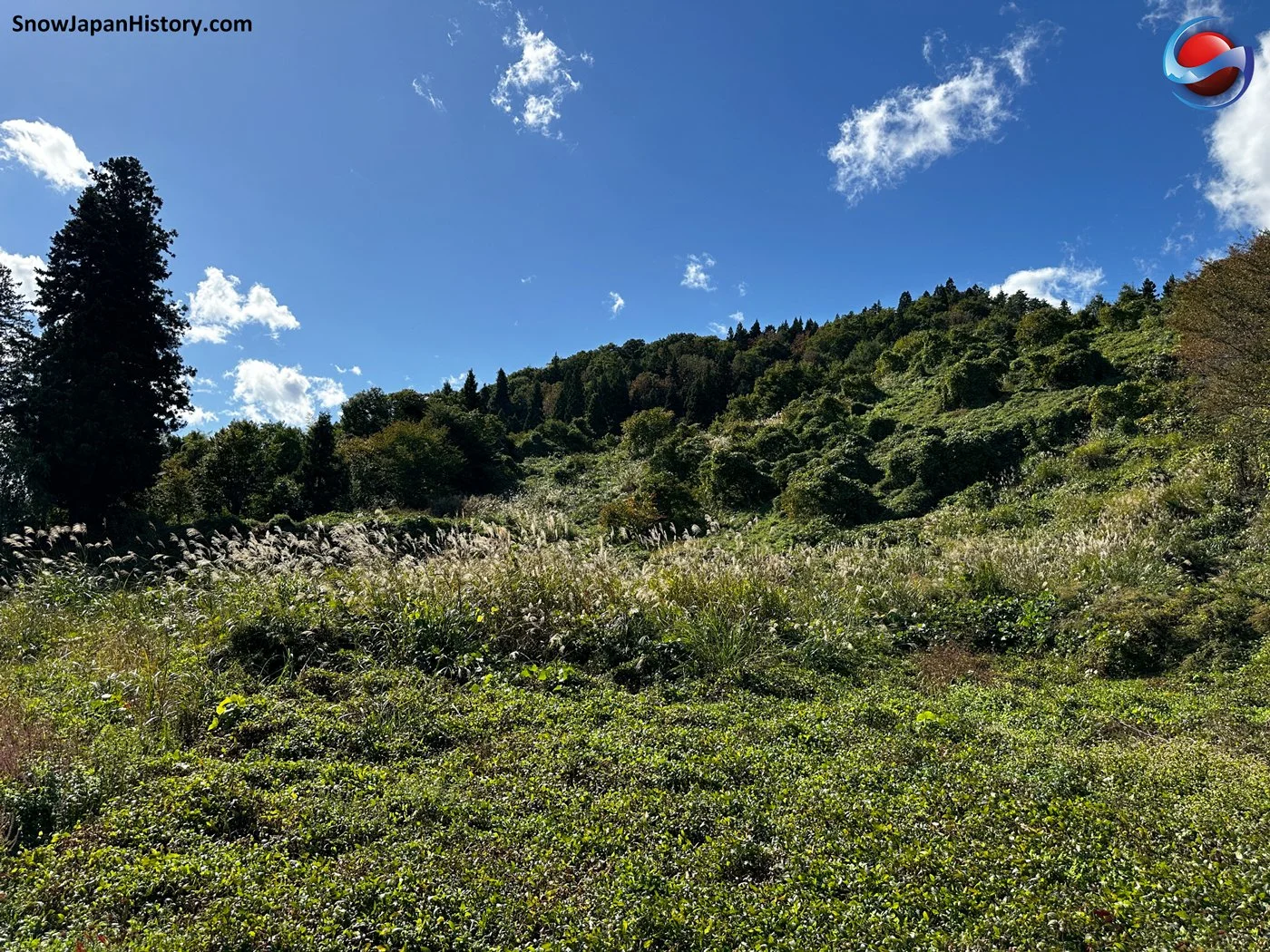 Yamanobe Hakusan (Yamanobe, Yamagata)　山辺白山スキー場（山形県山辺町）