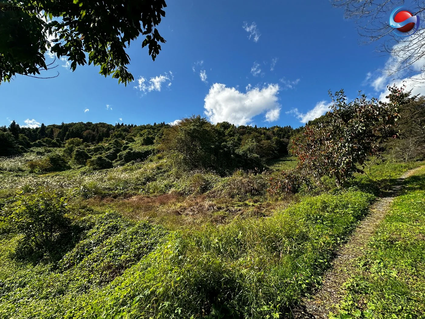 Yamanobe Hakusan (Yamanobe, Yamagata)　山辺白山スキー場（山形県山辺町）