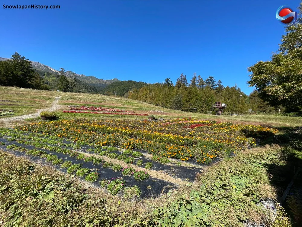 Ontake Ropeway Ontake Ropeway Ski Area (Kiso, Nagano) 御岳ロープウェイスキー場(長野県木曽町)