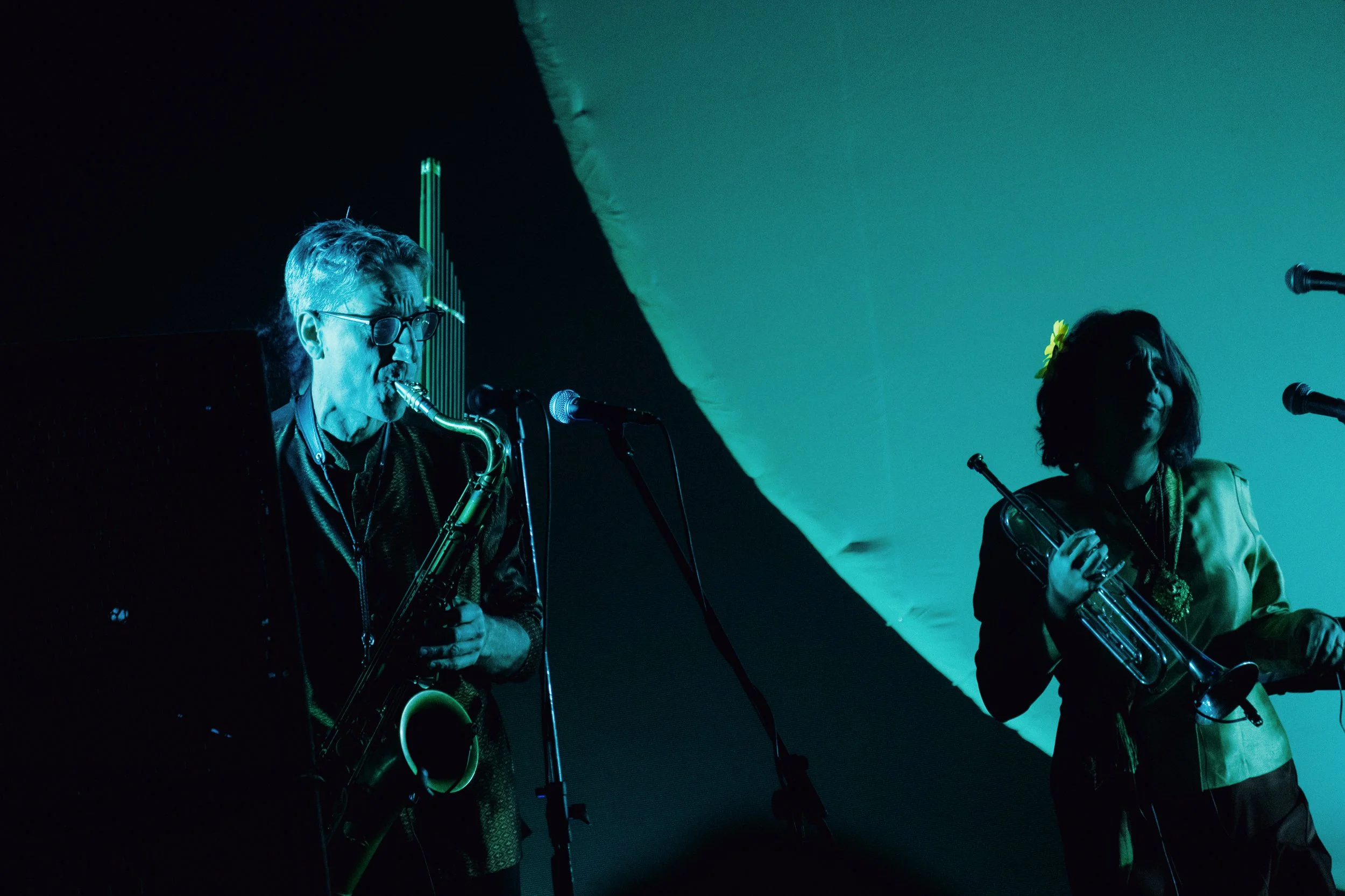 26.01.09 WHYKNNOT.SALIN-11.jpg