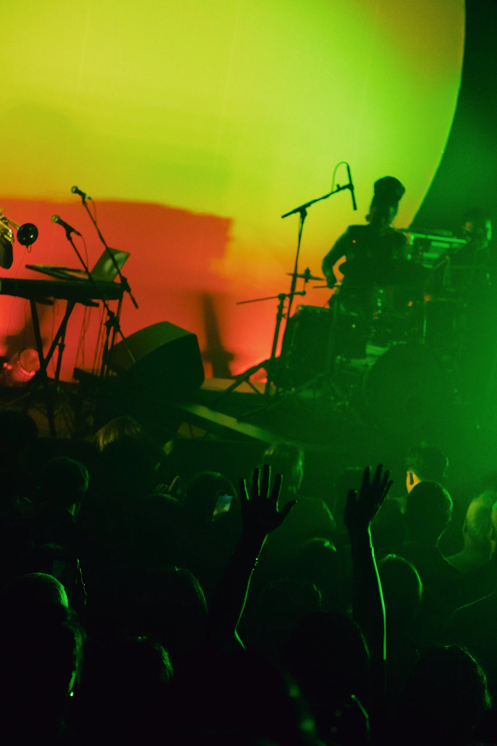 26.01.09 WHYKNNOT.SALIN-95.jpg