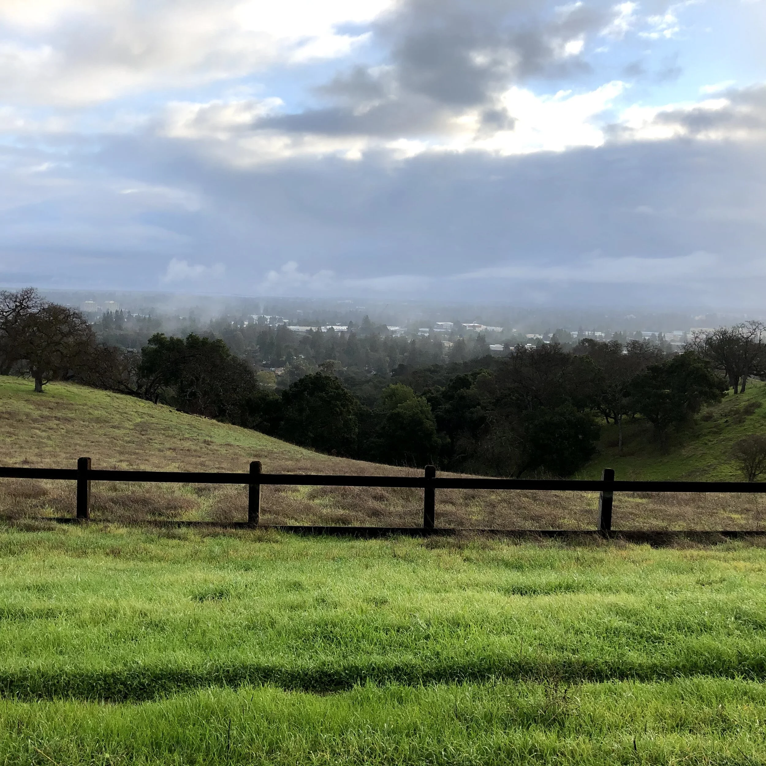 Stanford Dish Sunday Sunrise Hikes