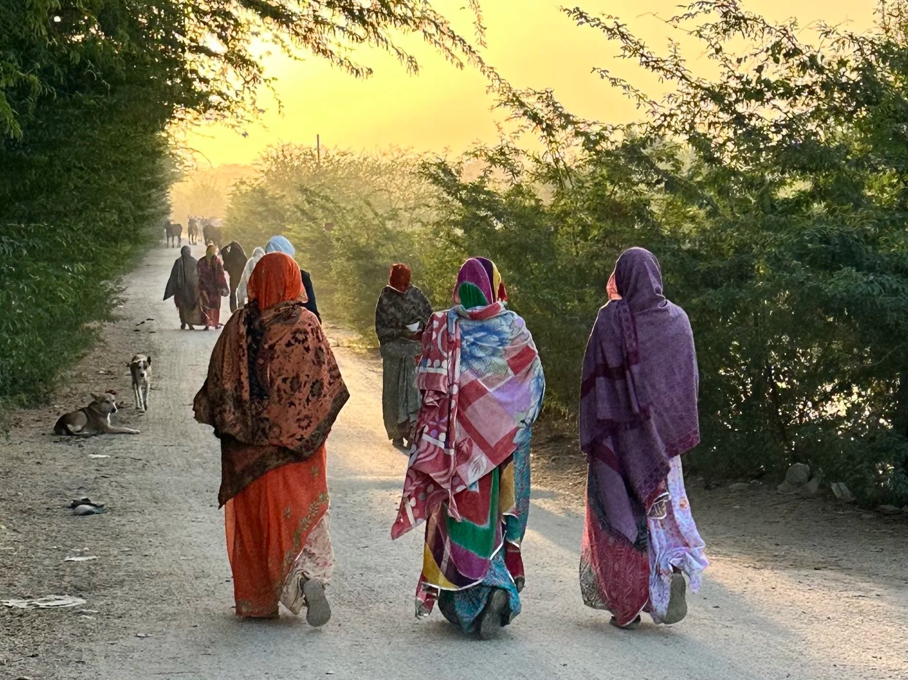 Marts 2026. Design & Kunsthåndværk