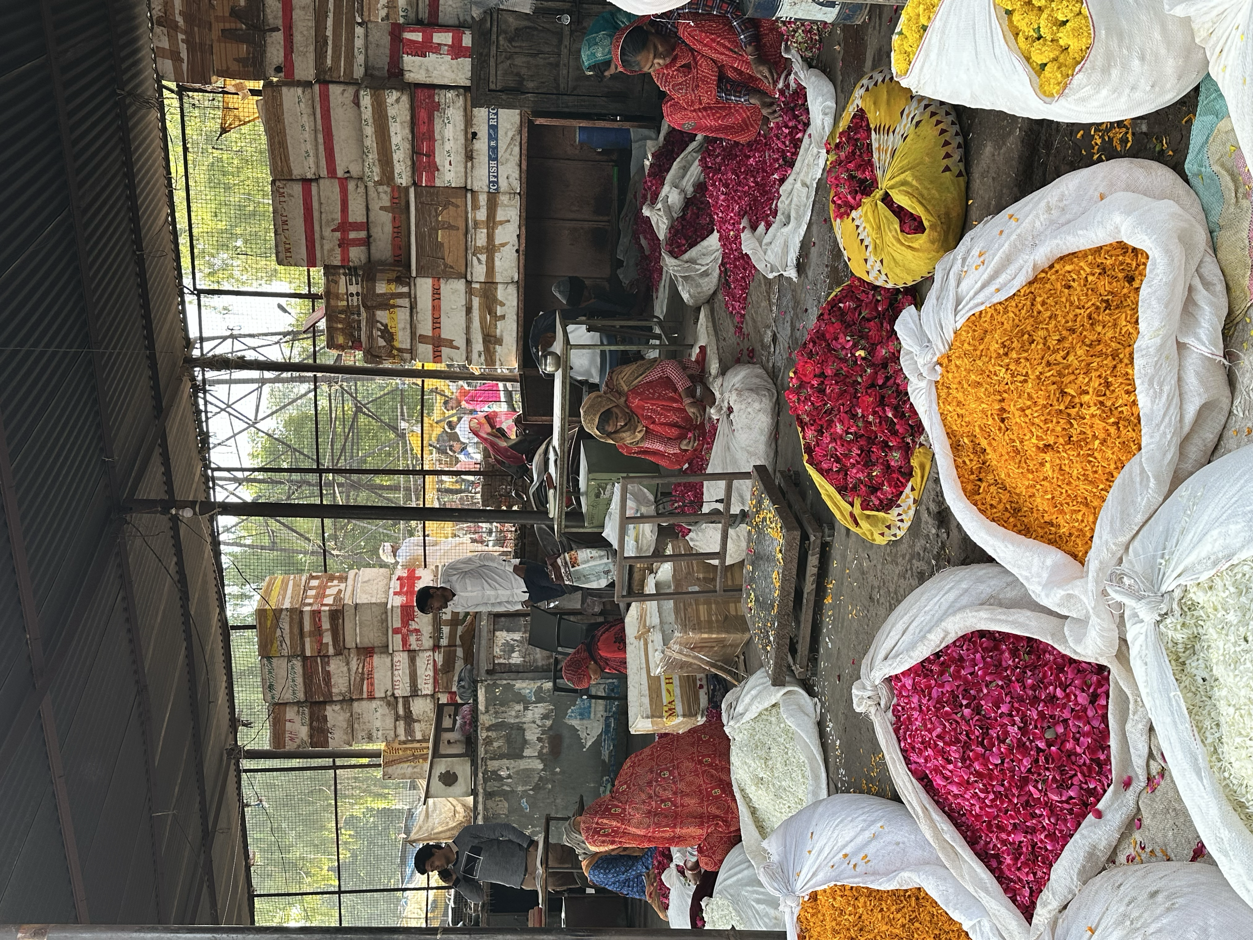 tempImagejmhoGp.png