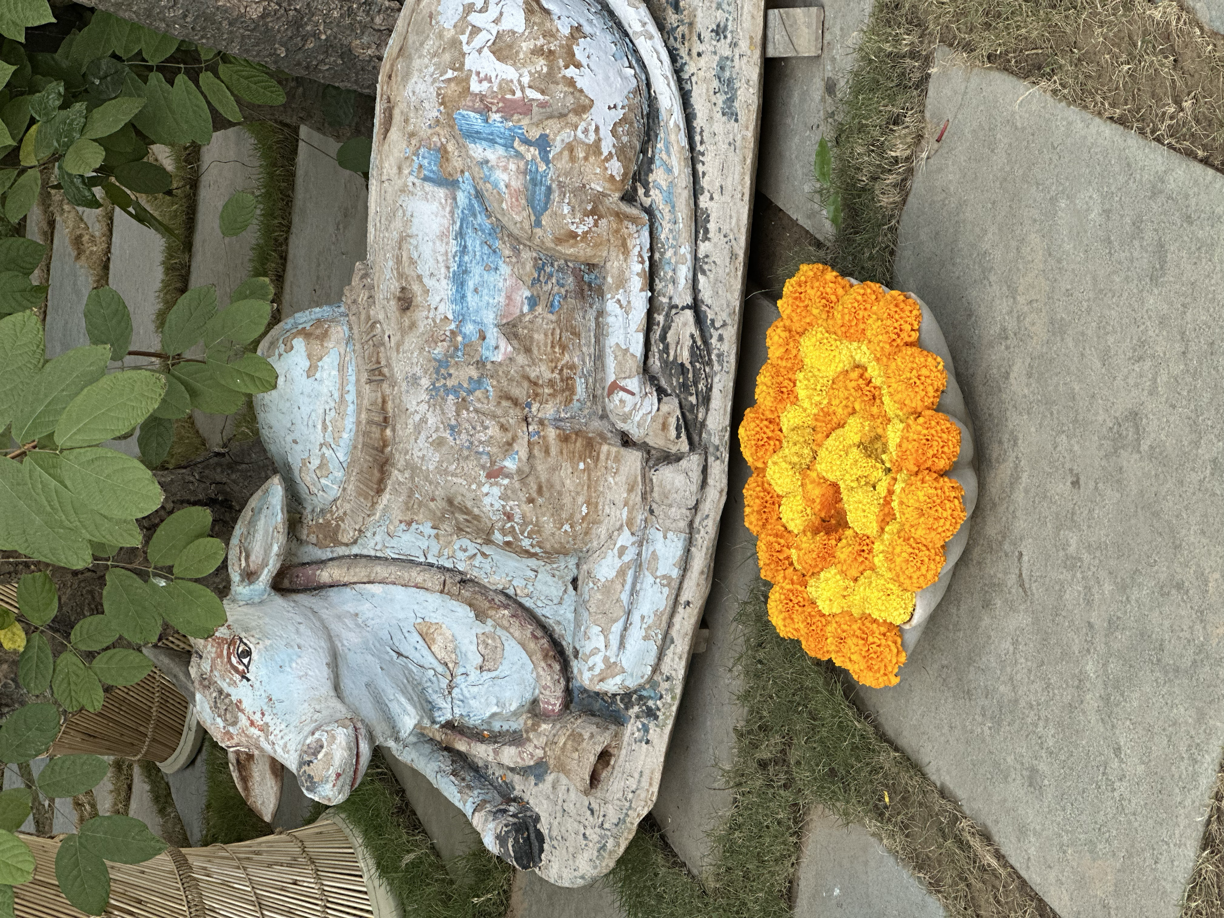 tempImagef7Bygv.png