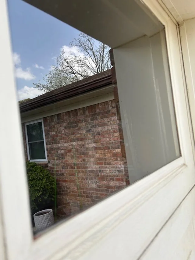 View through a window showing a brick house with a window, tree branches, and part of the roof with a clear blue sky in the background.