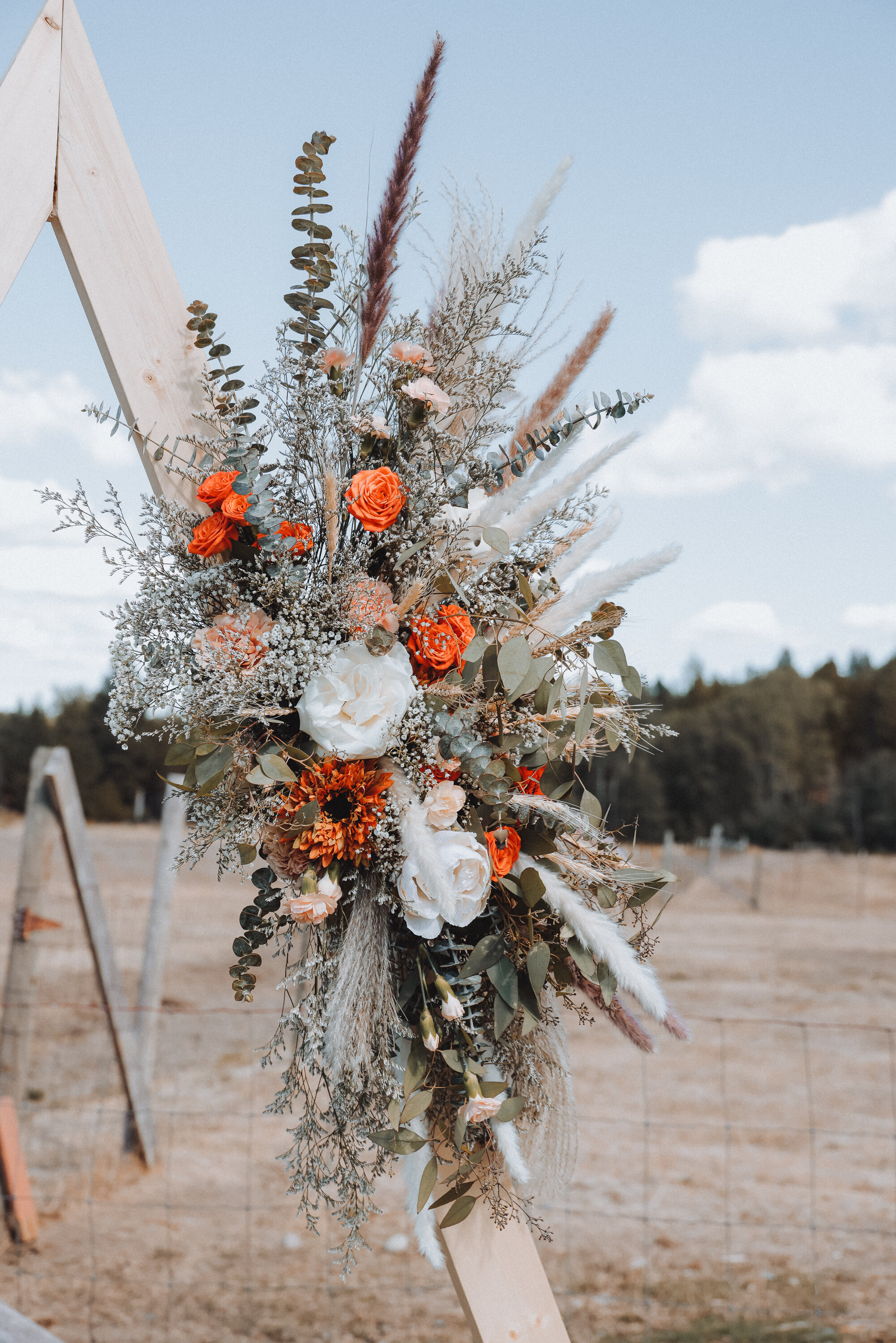 Matthew & Sarah Sample-7.jpg