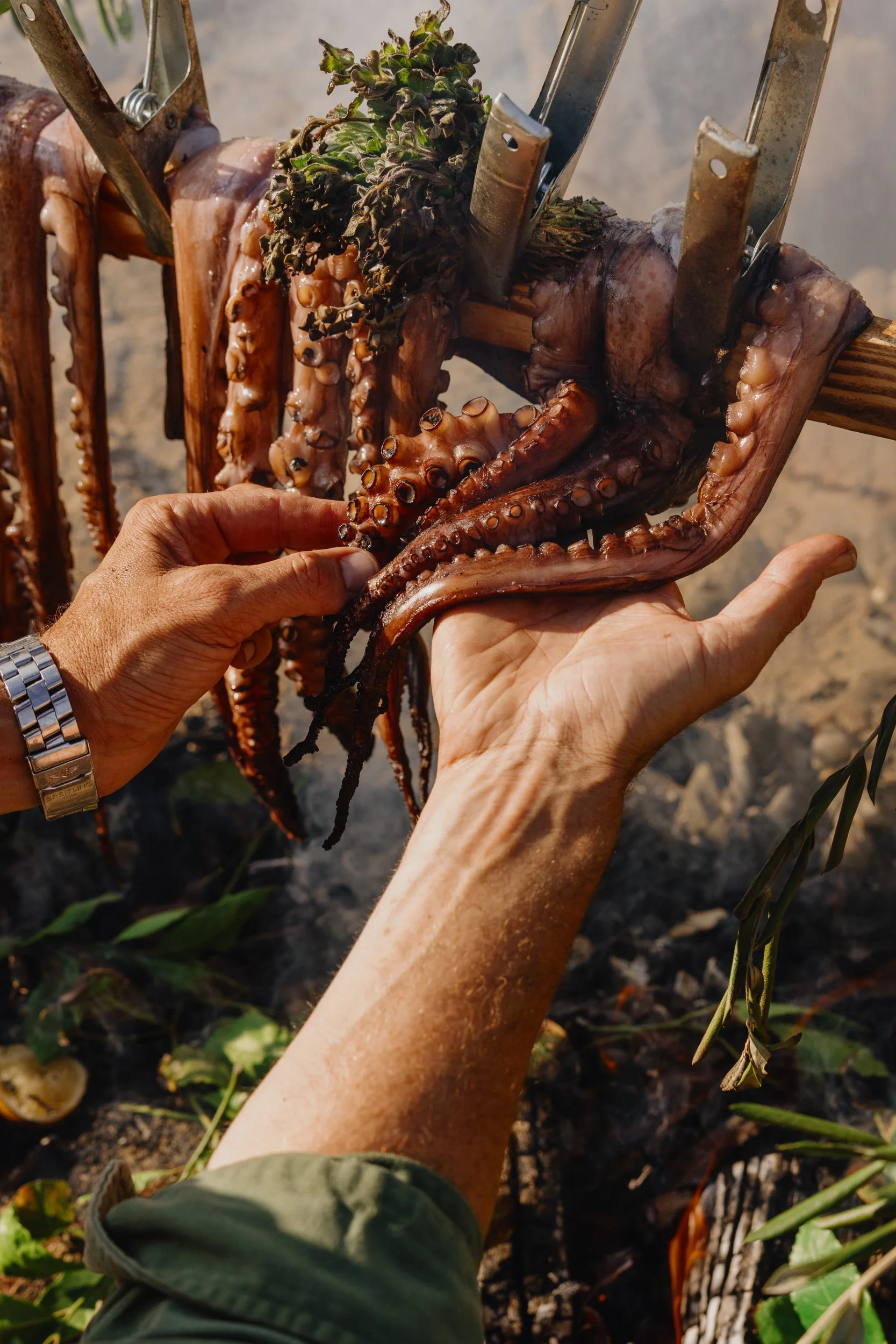 octopus-18-2.jpg
