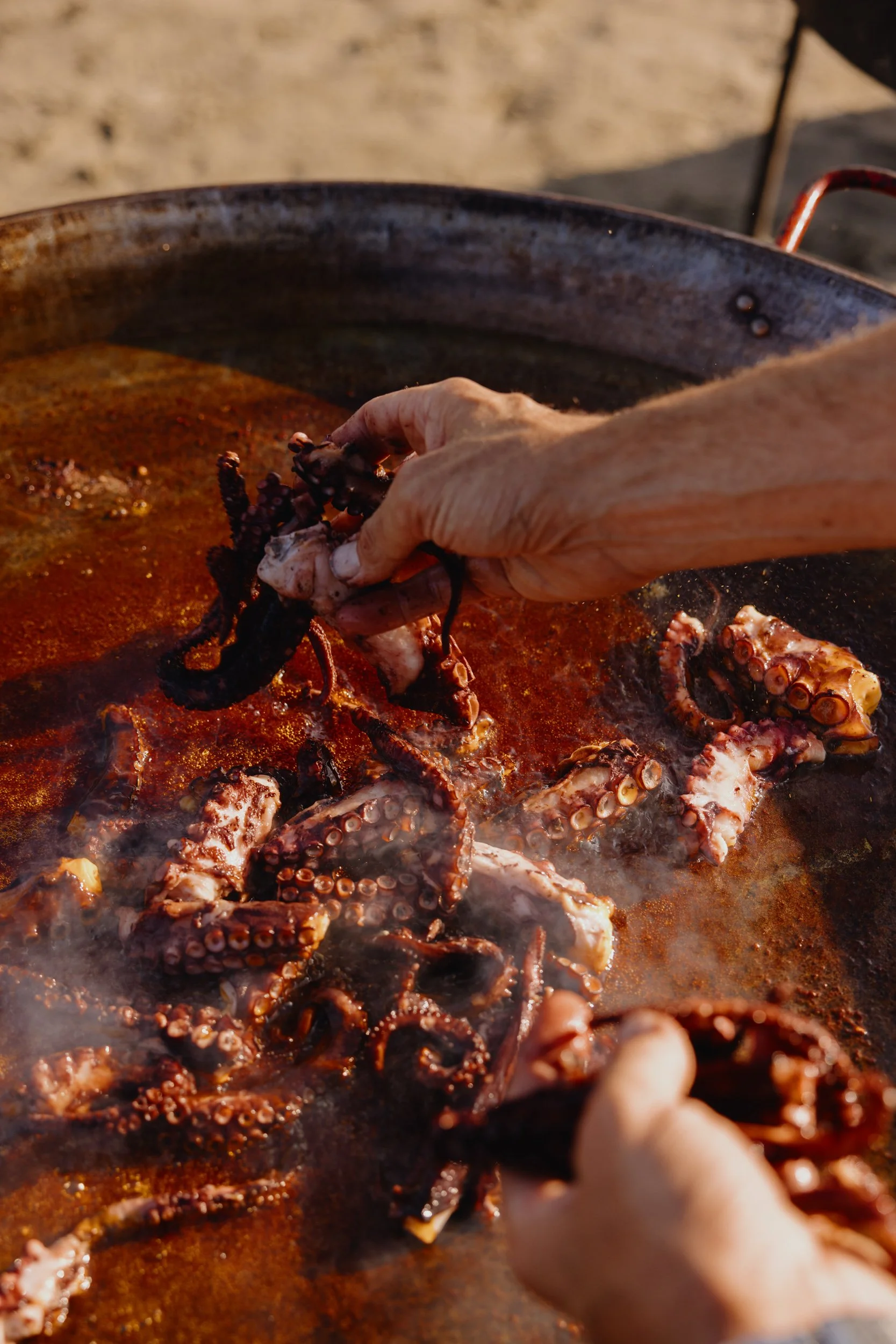 octopus-21.jpg